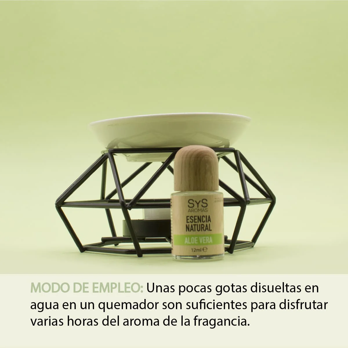 Esencia Aromática Aloe Vera 12 ml | Aroma Fresco y Natural | Perfume Concentrado | Uso en Difusores - Image 3