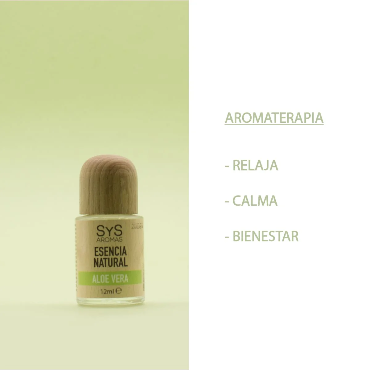 Esencia Aromática Aloe Vera 12 ml | Aroma Fresco y Natural | Perfume Concentrado | Uso en Difusores - Image 5