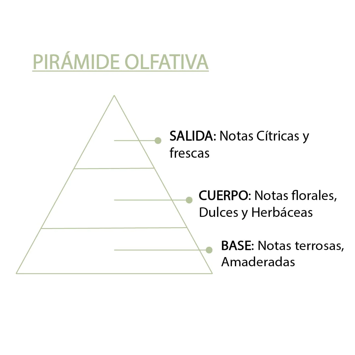 Esencia Aromática Aloe Vera 12 ml | Aroma Fresco y Natural | Perfume Concentrado | Uso en Difusores - Image 6