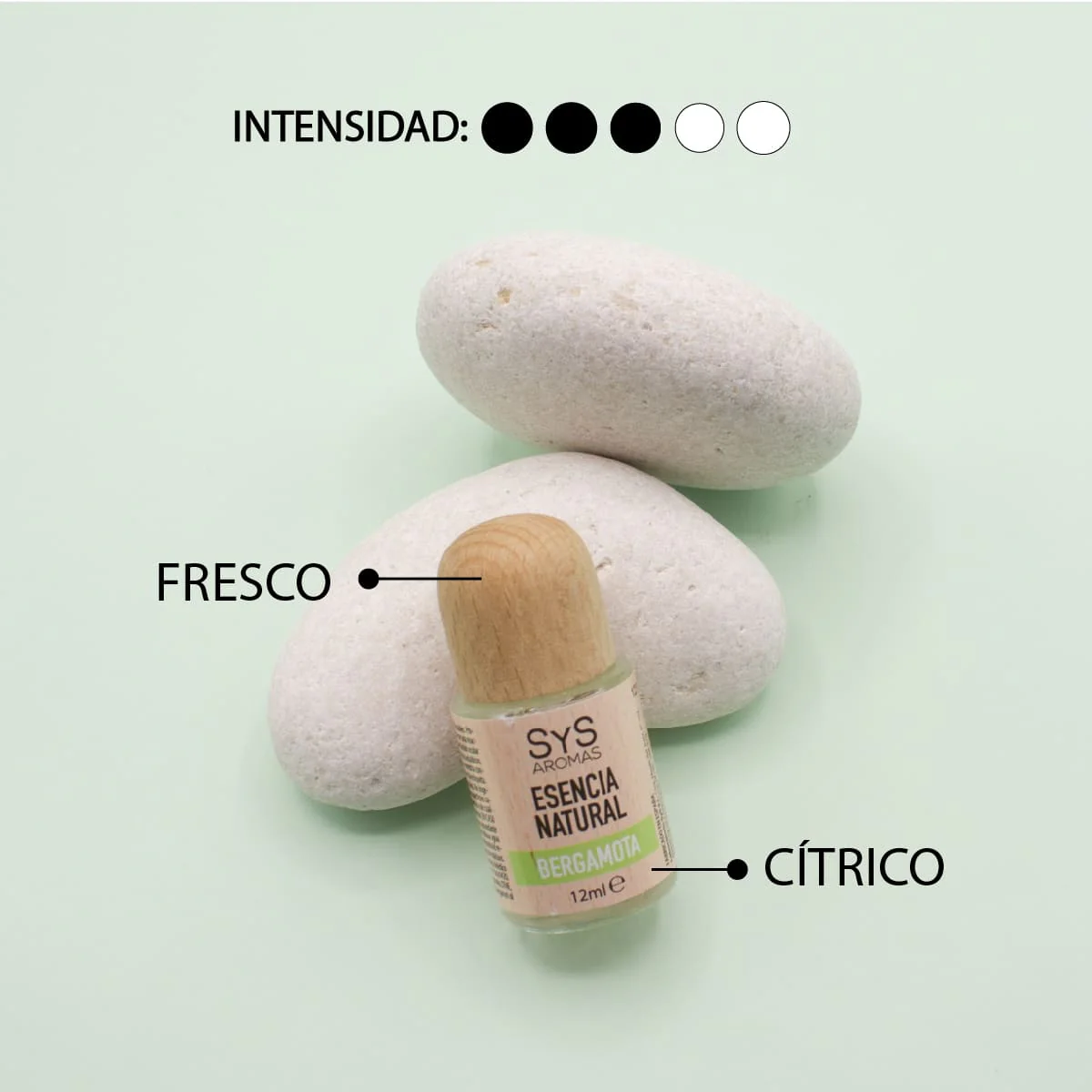 Esencia Aromática Bergamota 12 Ml | Aroma Cítrico Y Refrescante | Perfume Concentrado | Uso En Difusores - Image 3