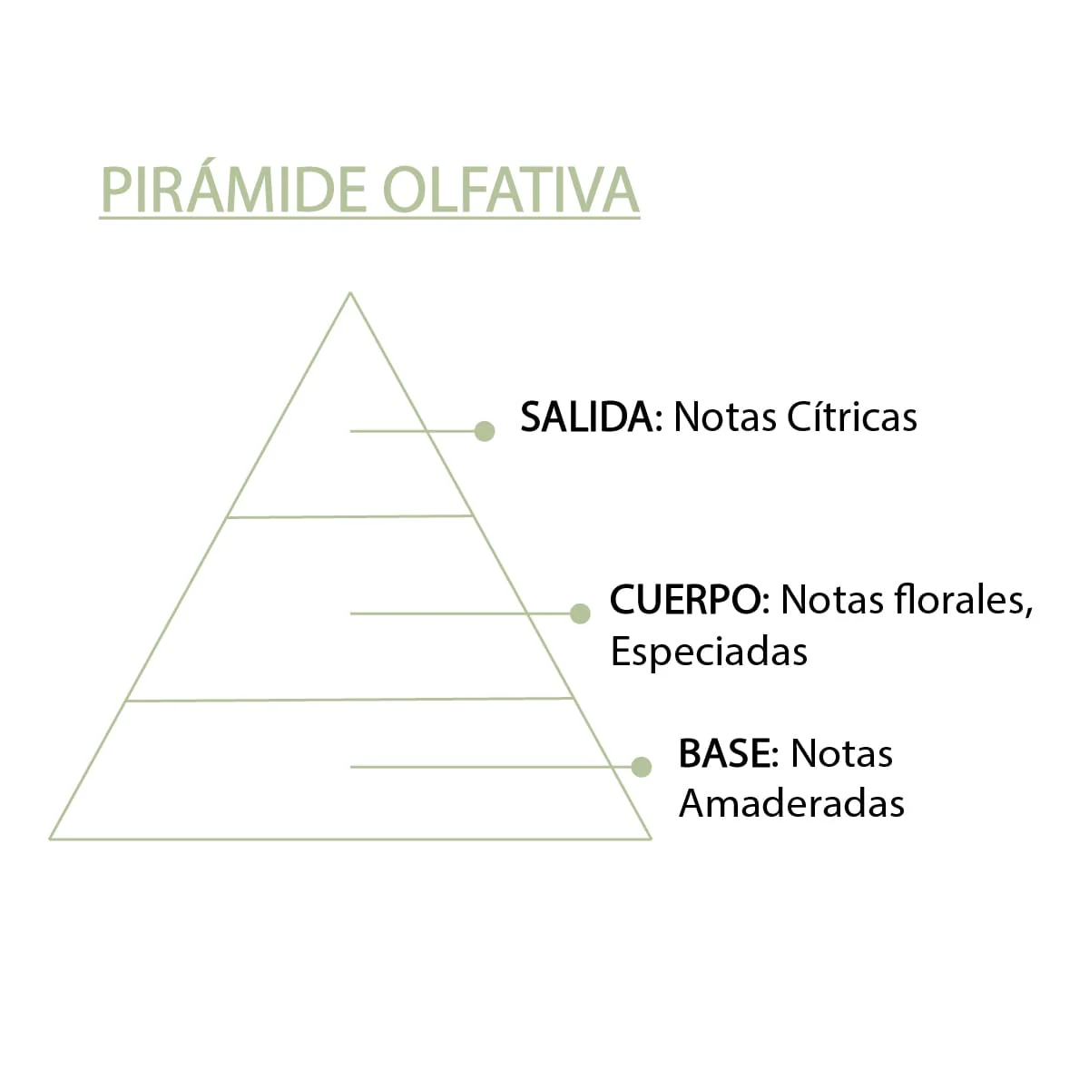 Esencia Aromática Bergamota 12 Ml | Aroma Cítrico Y Refrescante | Perfume Concentrado | Uso En Difusores - Image 5
