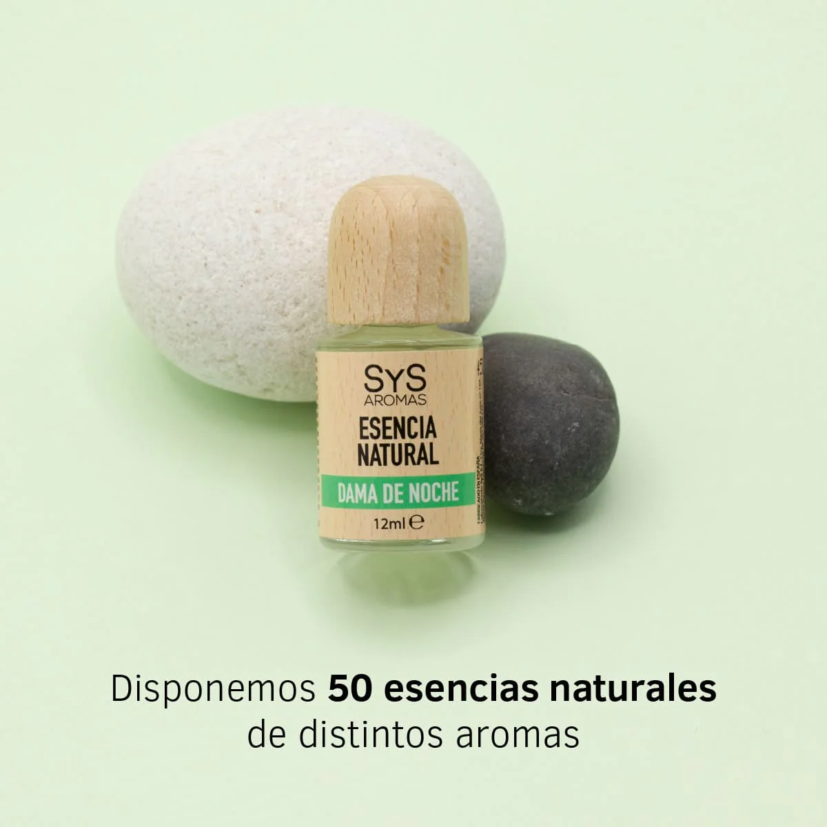 Esencia Aromática Dama De Noche 12 Ml | Aroma Floral Intenso | Fragancia Nocturna | Perfume Concentrado - Image 3