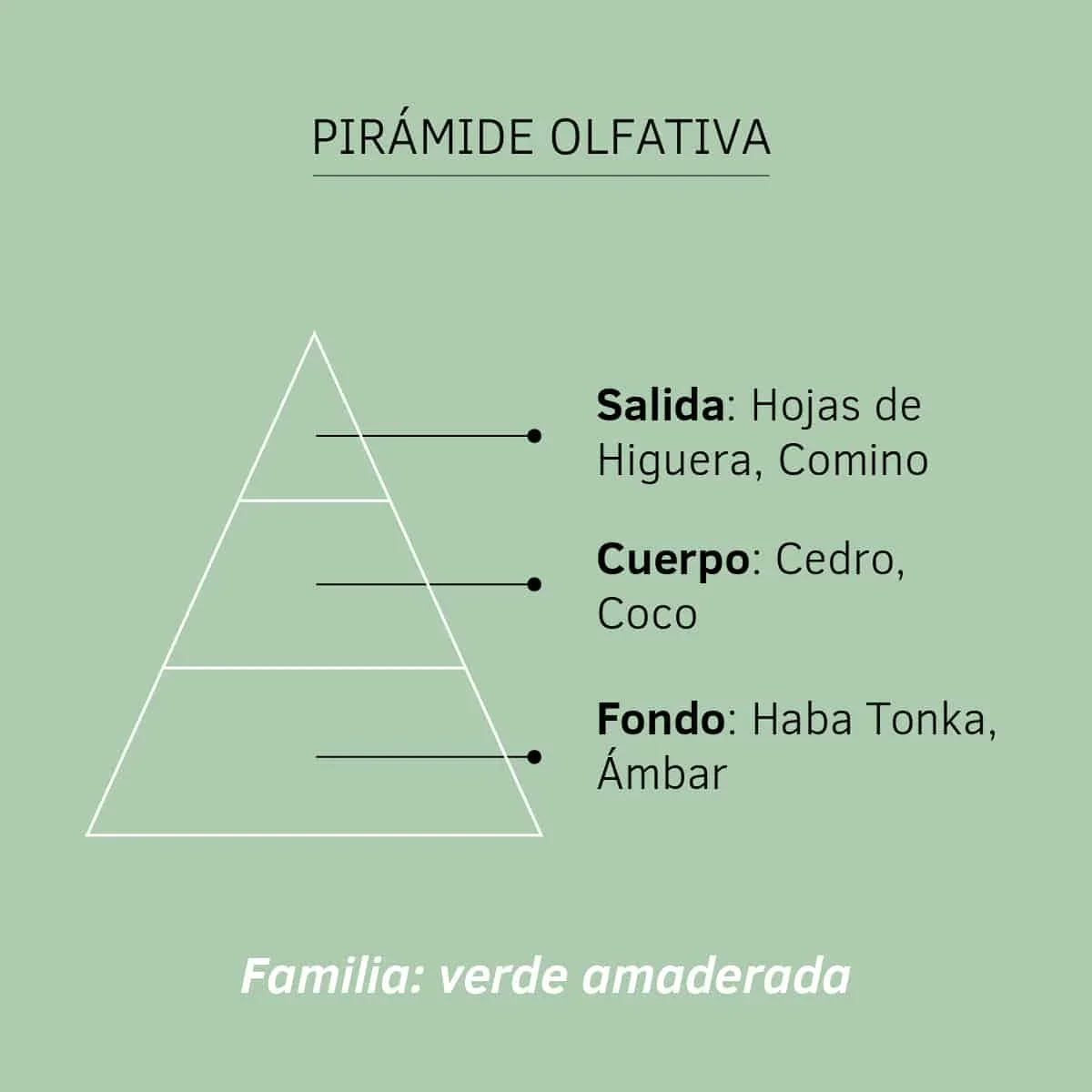Esencia Hidrosoluble Hojas de Higuera SYS Aromas 50 ml | Aroma Verde Natural | Humidificador Difusor | Fragancia - Image 2