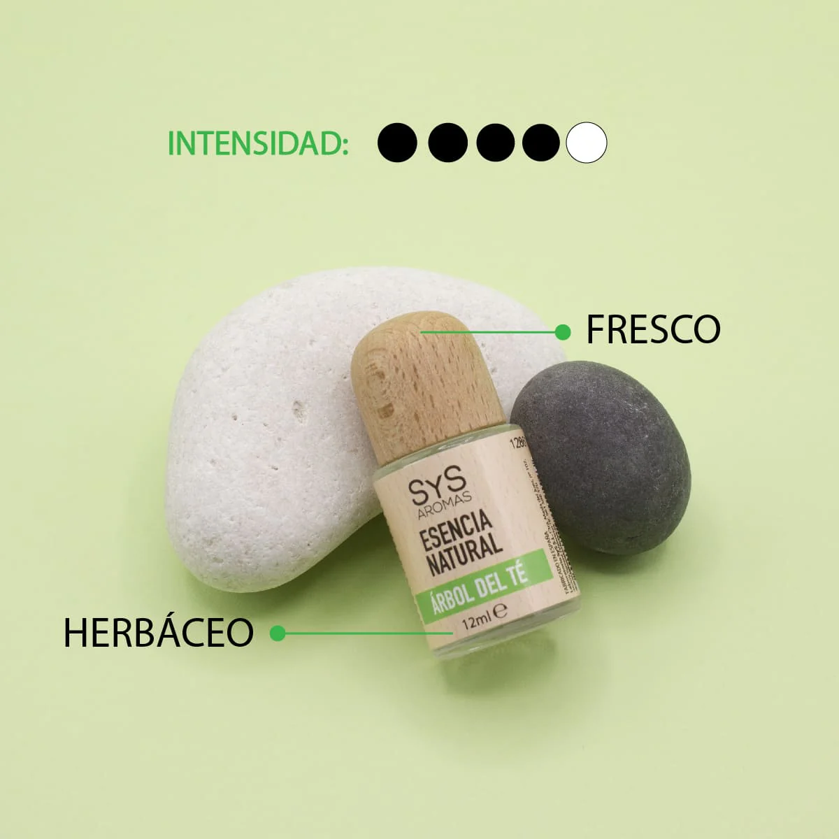 Esencia Natural Aromática Árbol de Té 12 ml | Aroma Herbal y Purificante | Perfume Concentrado | Uso en Difusores - Image 2