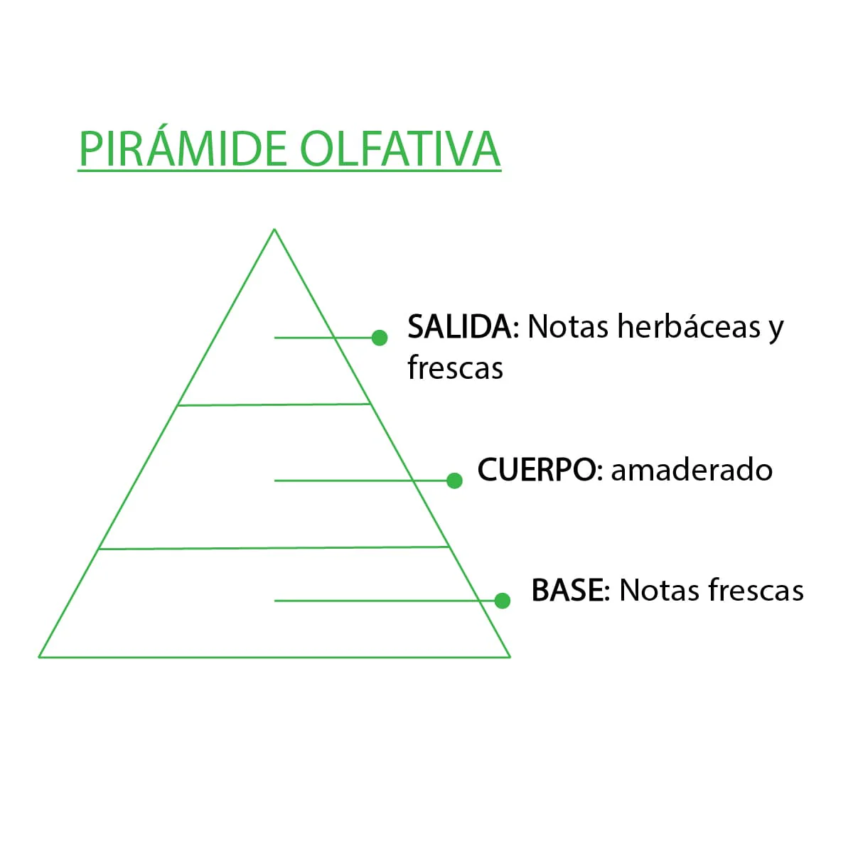 Esencia Natural Aromática Árbol de Té 12 ml | Aroma Herbal y Purificante | Perfume Concentrado | Uso en Difusores - Image 3