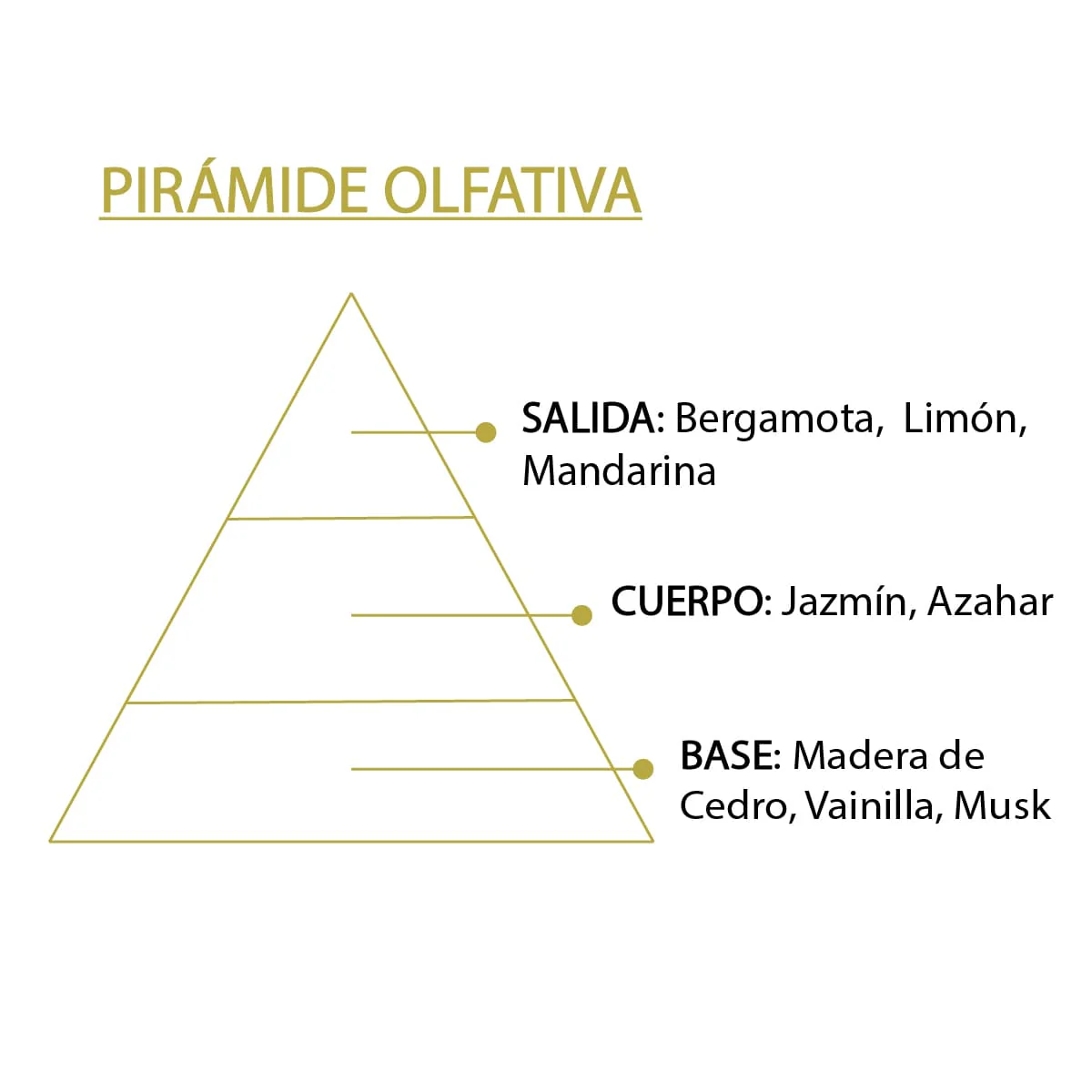 Esencia Natural Azahar 12 ml | Aroma Floral Relajante | Perfume Concentrado | Uso en Difusores - Image 4