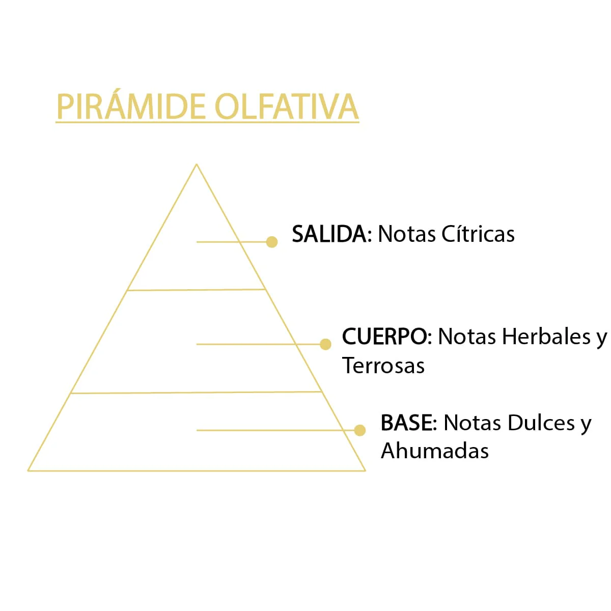 Esencia Natural De Citronela 12 Ml | Aroma Natural Antimosquitos | Aceite Aromático Cítrico | Ambiente Fresco Sys Aromas - Image 5