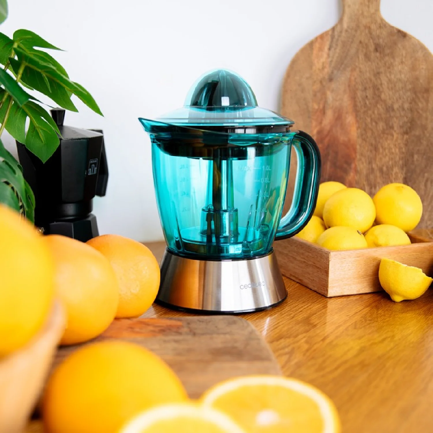 Exprimidor Eléctrico Para Naranjas Y Cítricos Zitra Steel. 40 W Y Filtro De Plástico, 2 Conos De Plástico, Doble Sentido De Giro, Encendido Automáti - Image 3