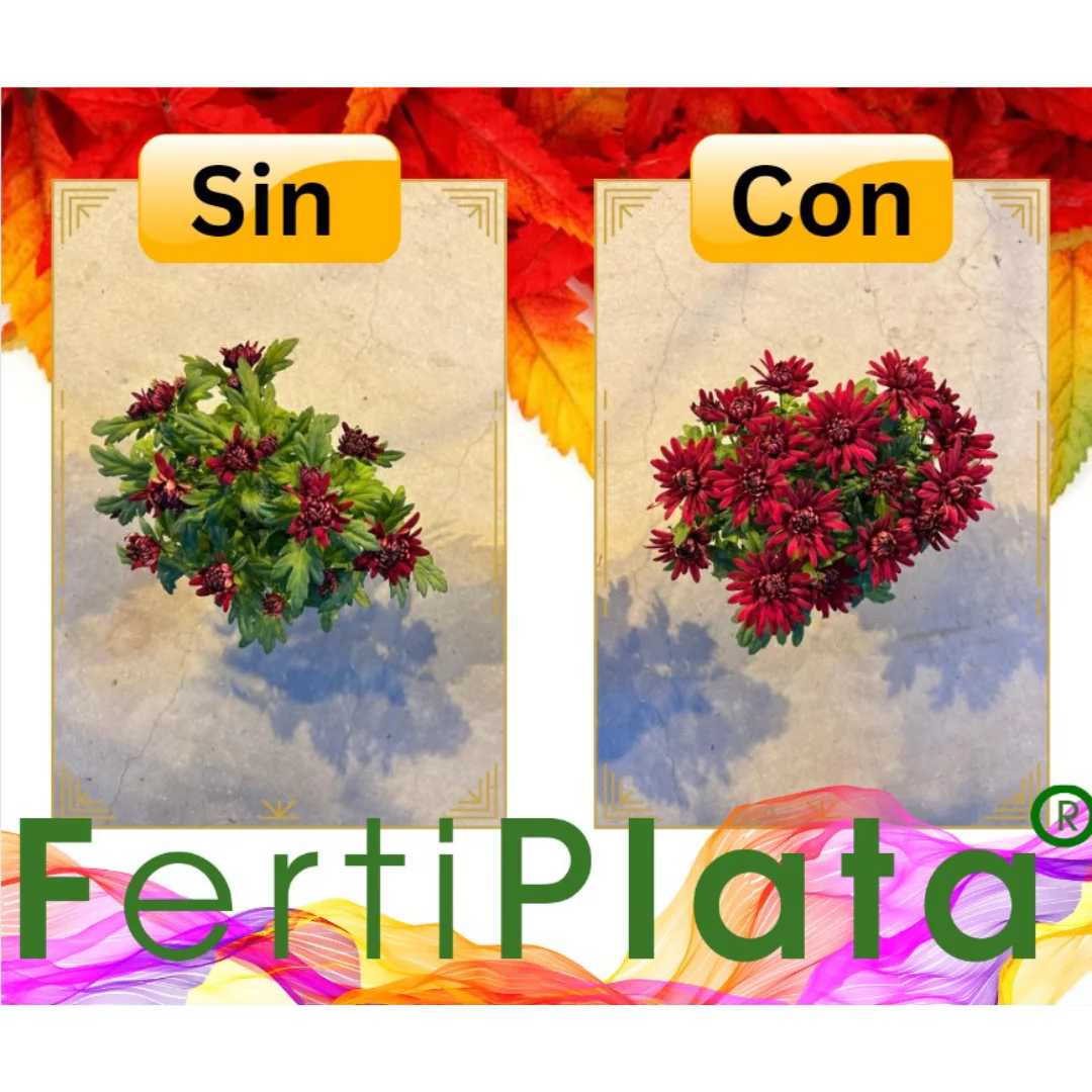 Fertilizante Para Plantas Ornamentales Fertiplata 500 Ml - Image 3