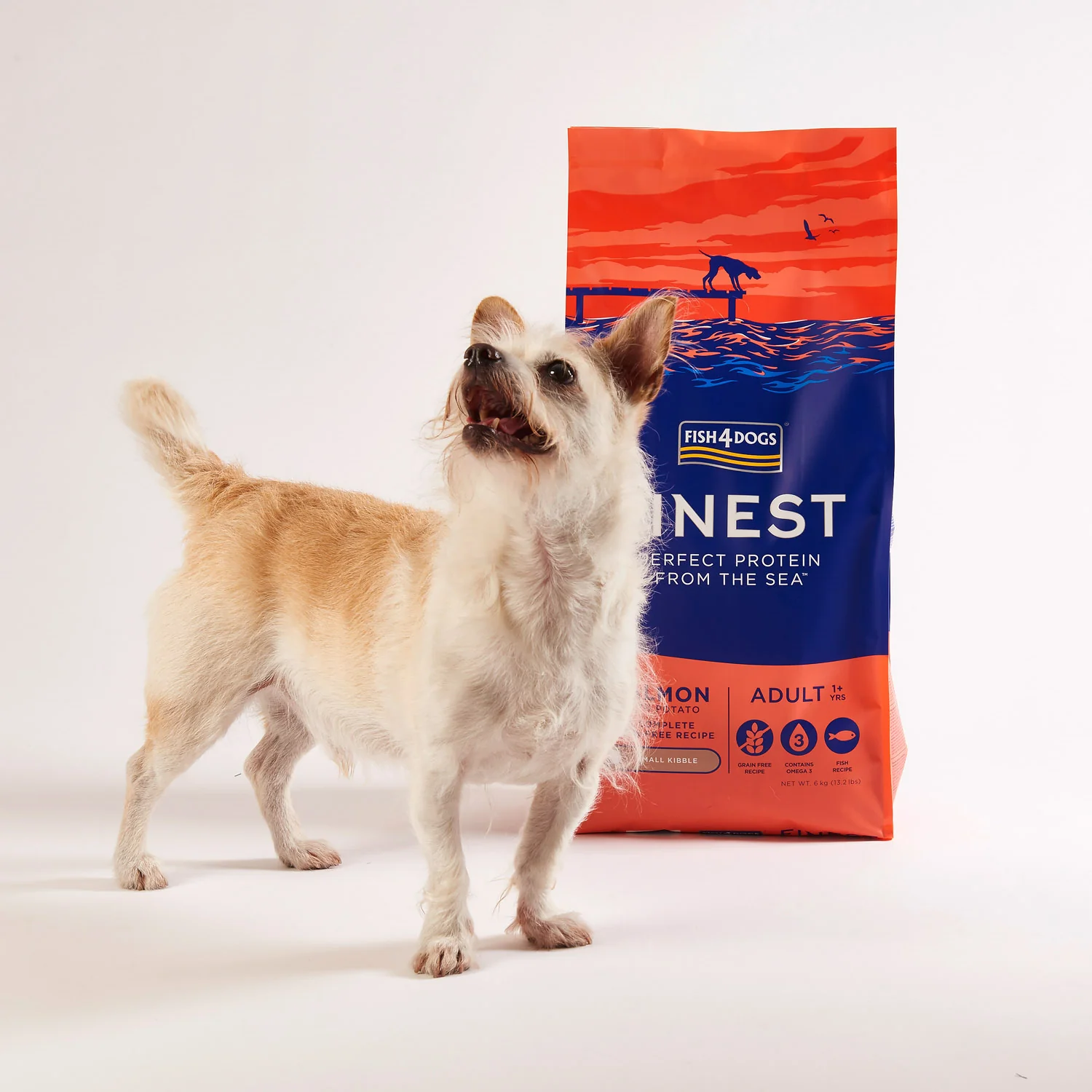 Fish4dogs Pienso Para Perro Adulto Sin Cereales – Salmón Y Patata Razas Pequeñas 6 Kg - Image 6
