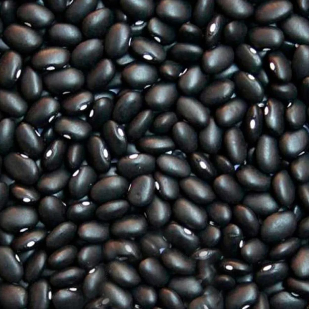 Frijoles En Grano Ecológicos 500gr - Image 3