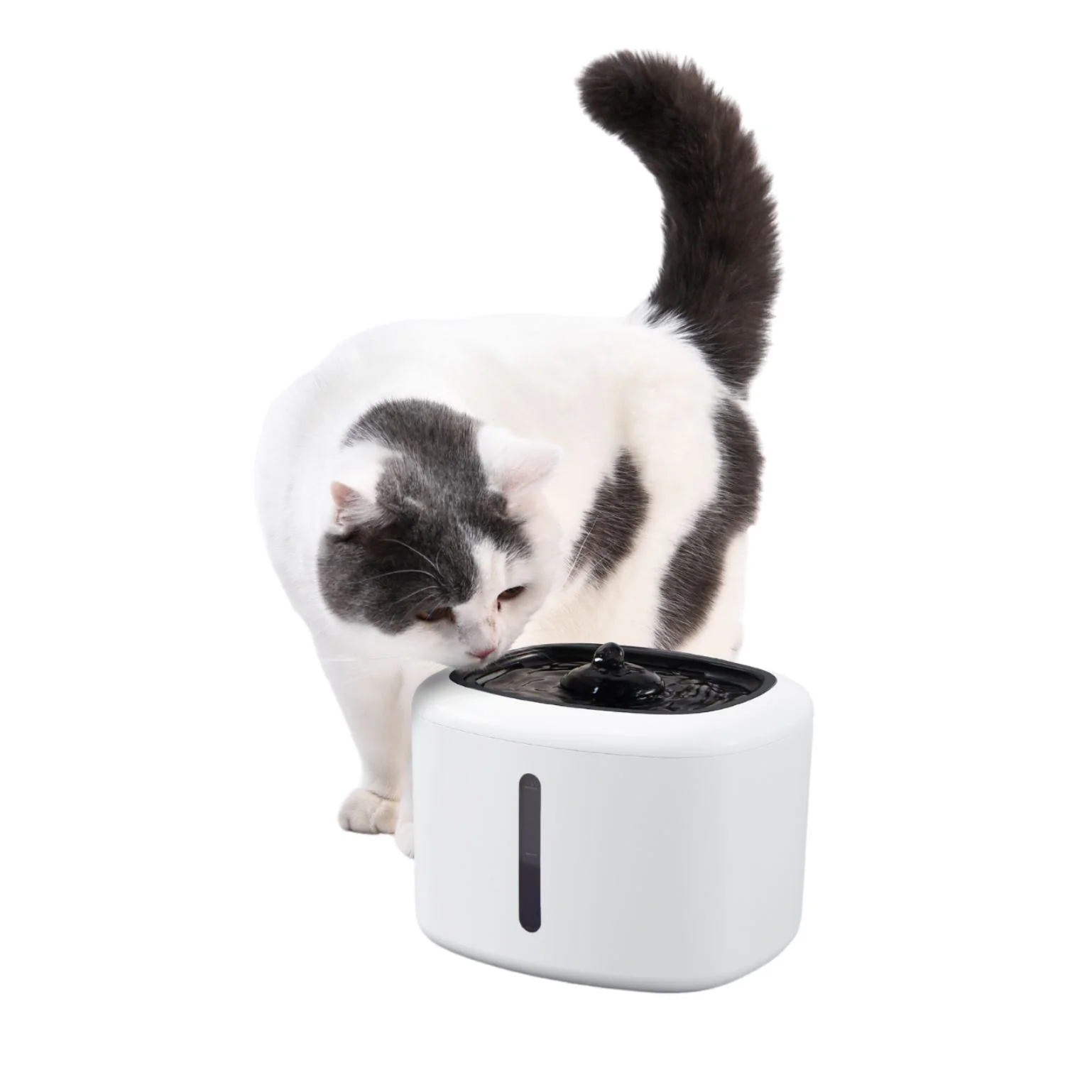 Fuente De Agua Electrónica Para Que Gatos Y Perros Disfruten De Agua En Movimiento. Capacidad 2,5l - Image 3