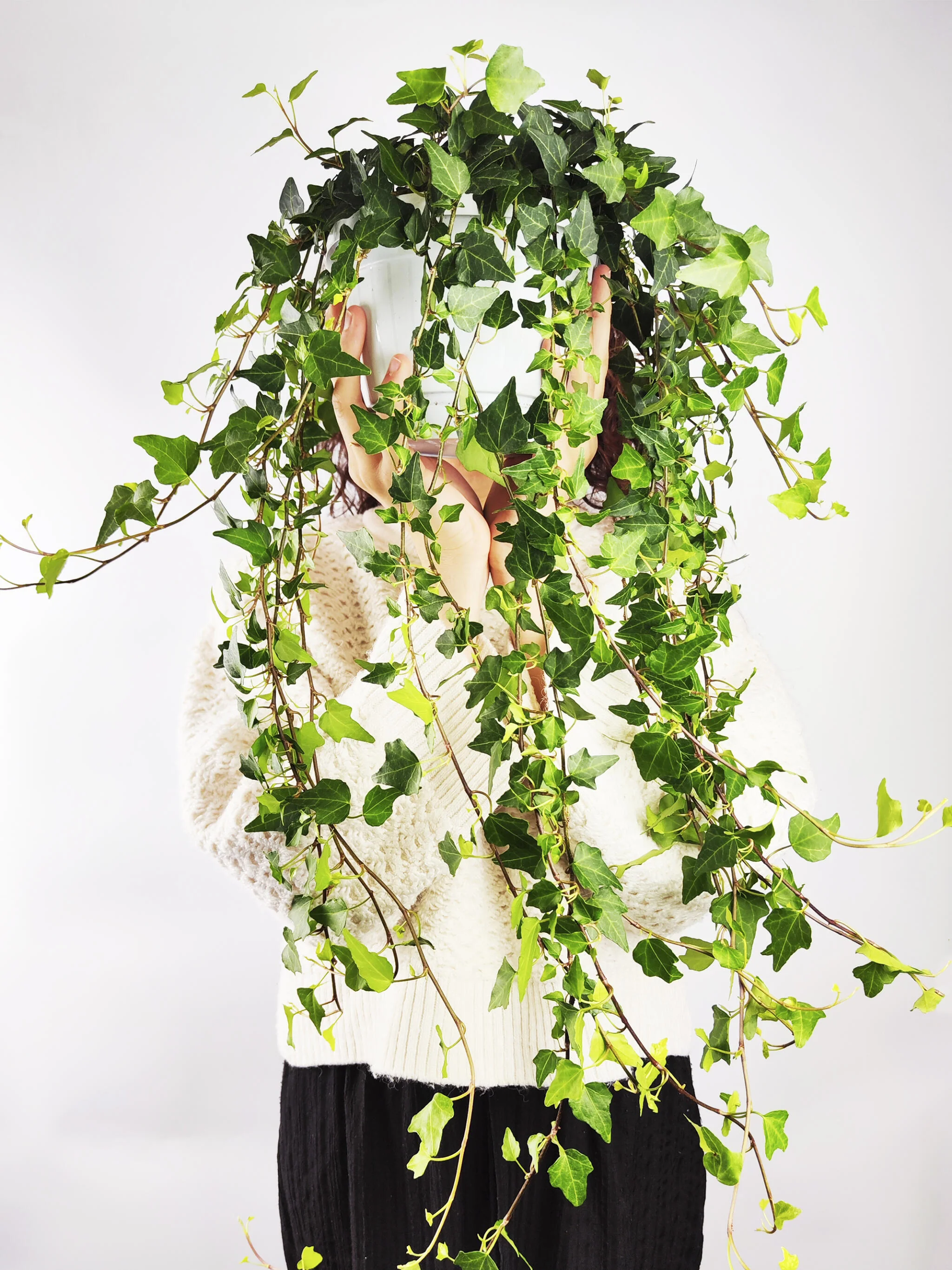 Hiedra O Hedera Colgante | Largo 110cm - Diámetro 24cm - Image 2