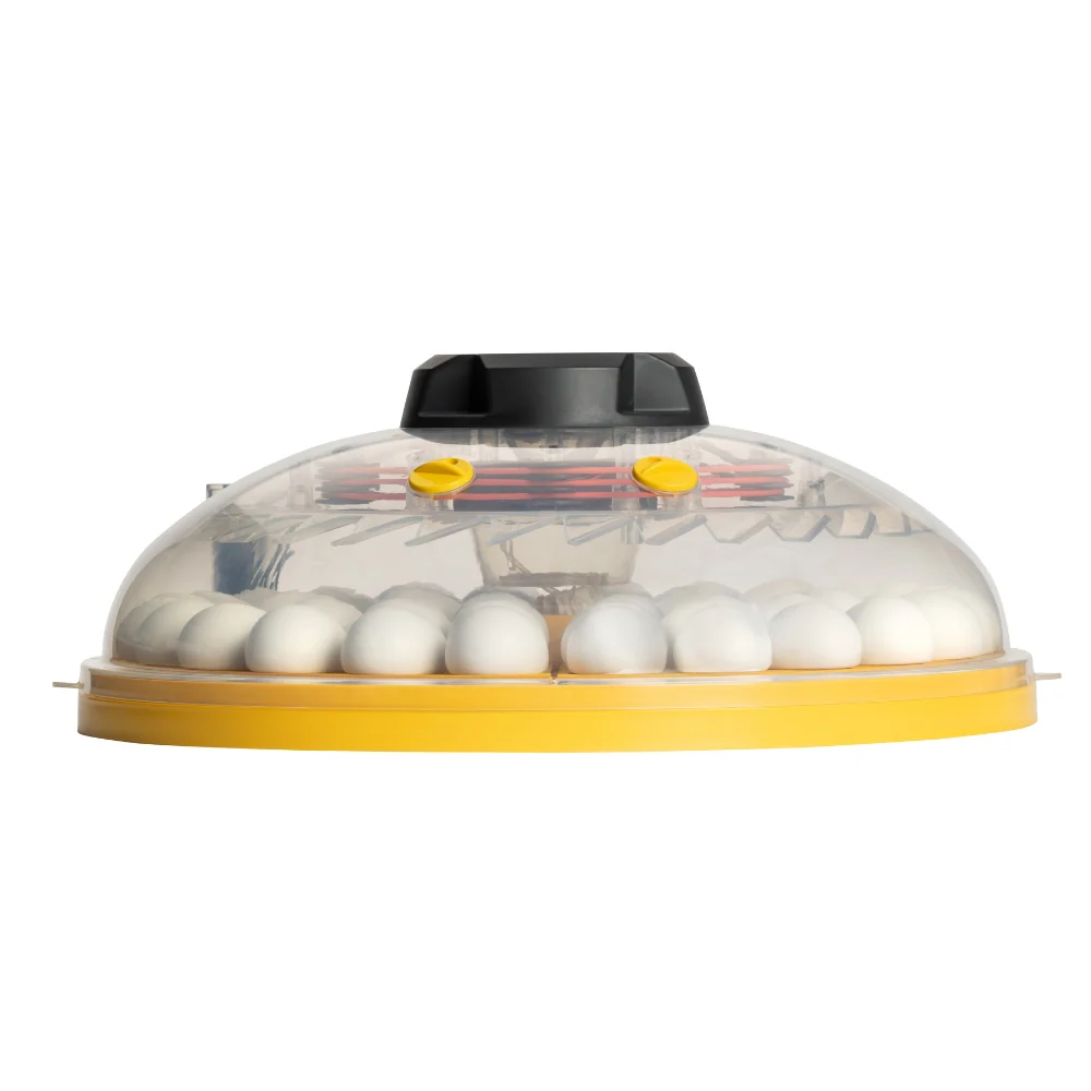 Incubadora Brinsea Maxi 48 Advance - Incubadora Para Huevos De Diferentes Especies De Ave - Con Volteo Automático - Image 3