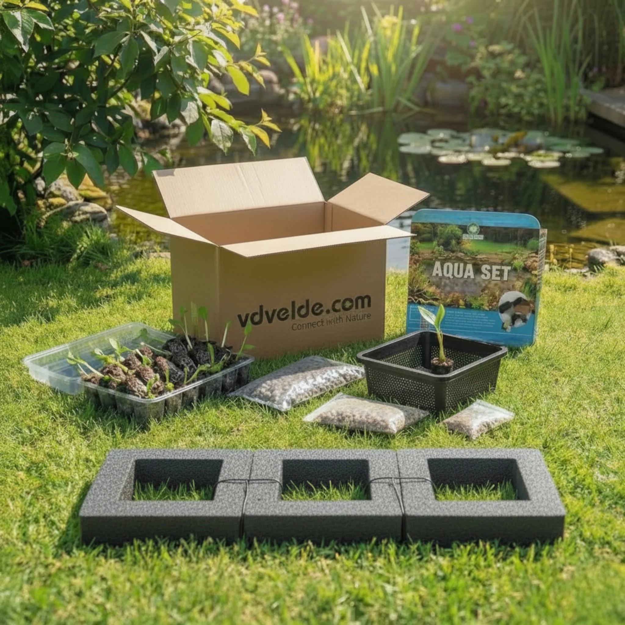 Isla De Filtración Para Estanque De 25 X 25 Cm - Set Completo Con 4 Plantas Acuáticas - Image 4