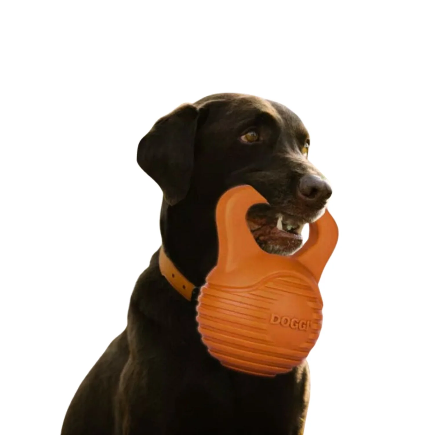Juguete Para Perro Doggi Dumbell Talla L 26x22x15,5 Cm - Image 4