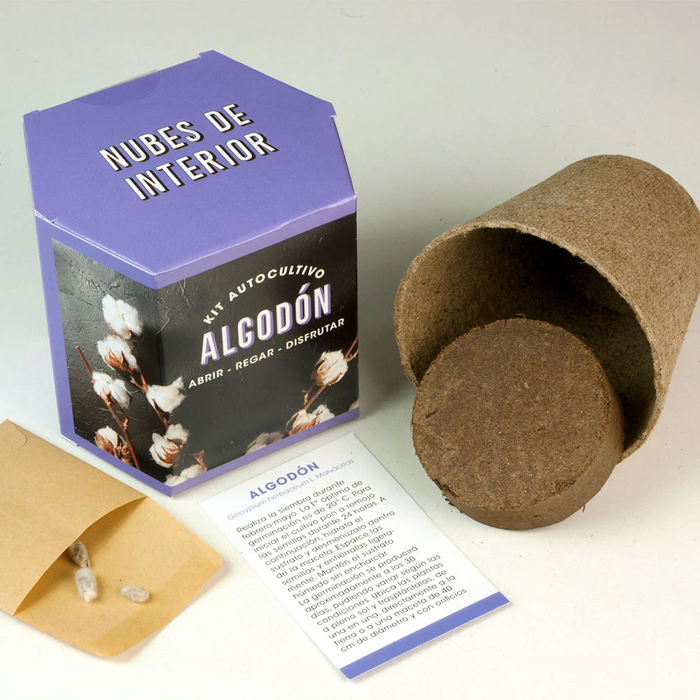 Kit Autocultivo Algodón | Cultiva Tu Propia Planta De Algodón En Casa | Regalo Original Y Decorativo - Image 2