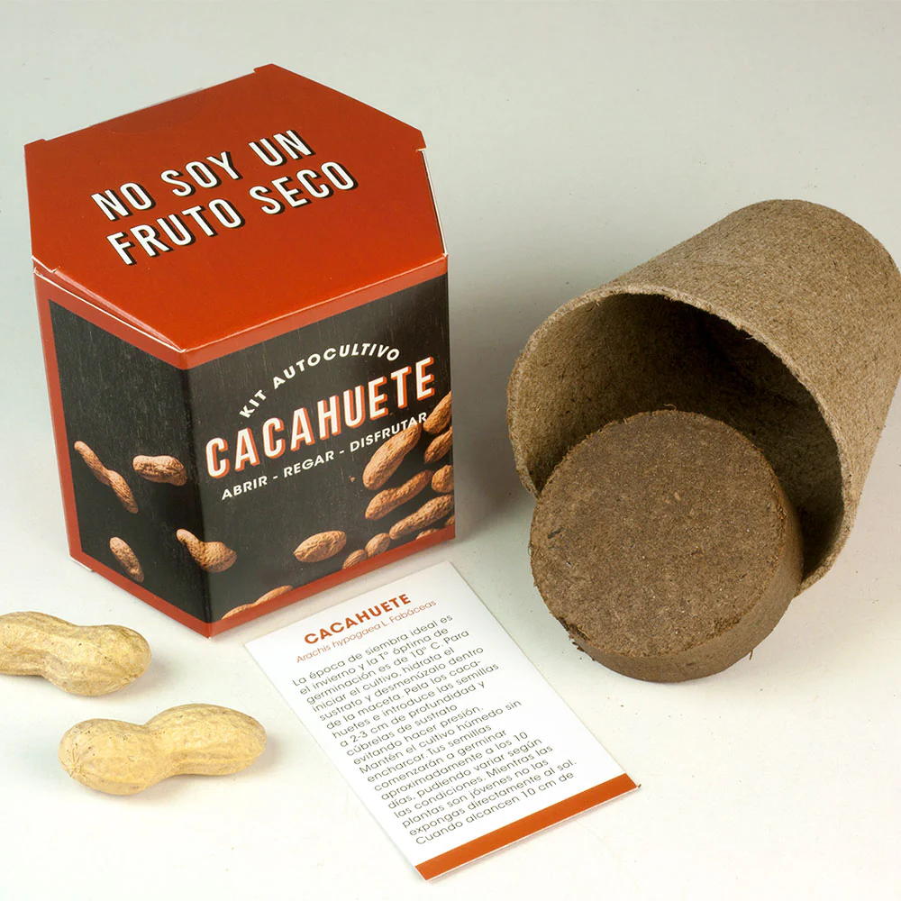 Kit Autocultivo Cacahuete | Cultiva Tus Propios Peanuts En Casa | Regalo Divertido Y Original - Image 2