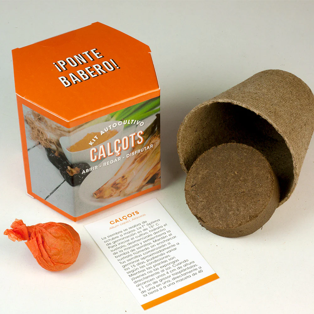 Kit Autocultivo Calçots | Cultiva Cebollas Tiernas Y Dulces En Casa - Image 2