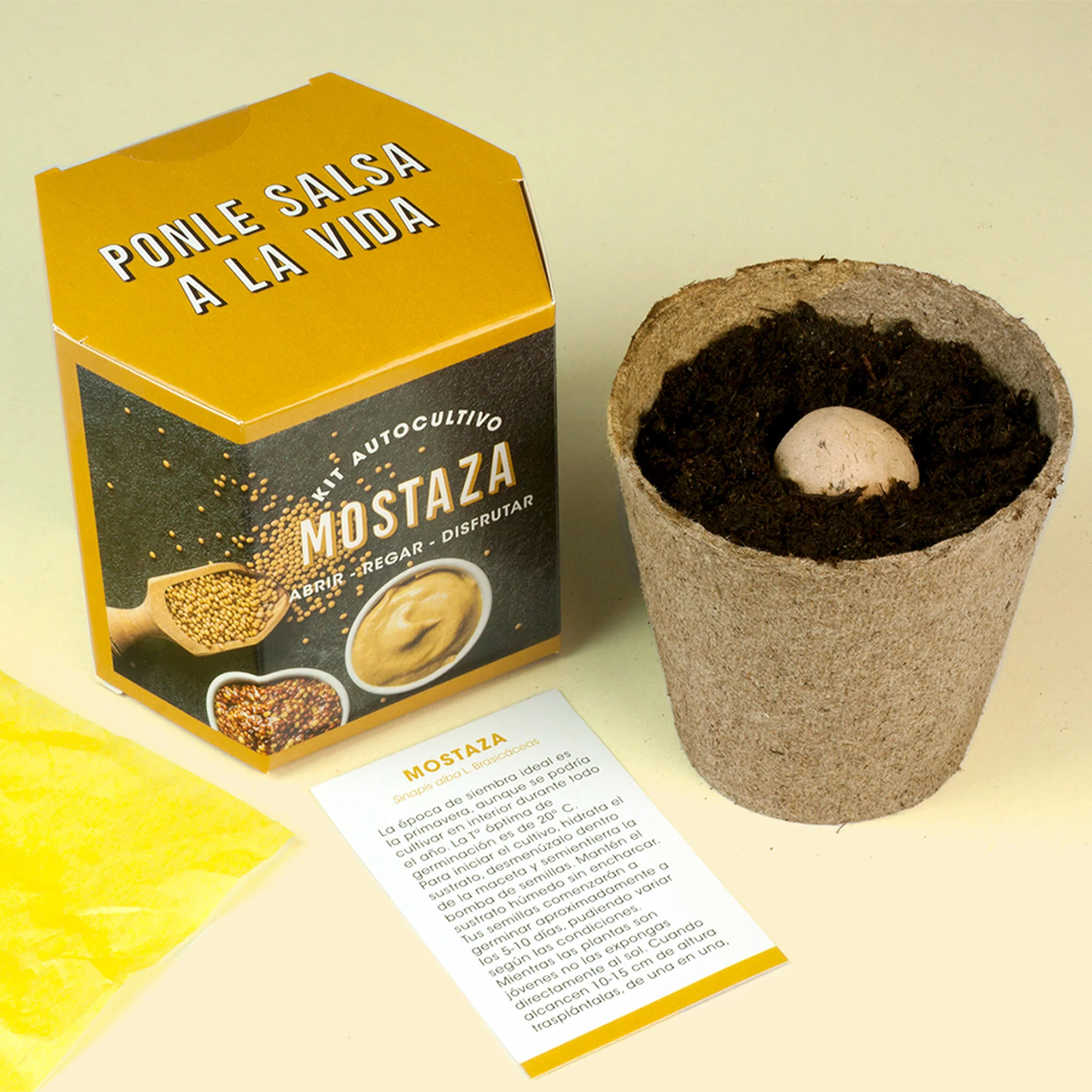 Kit Autocultivo De Mostaza | Cultiva Tus Propias Semillas En Casa | Fácil Y Rápido - Image 3