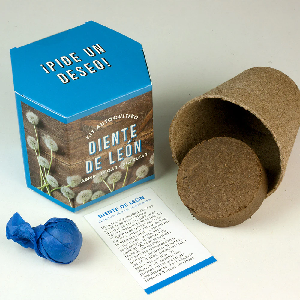 Kit Autocultivo Diente De León | Cultiva Flores Amarillas En Casa Y Descubre Su Magia Natural - Image 2