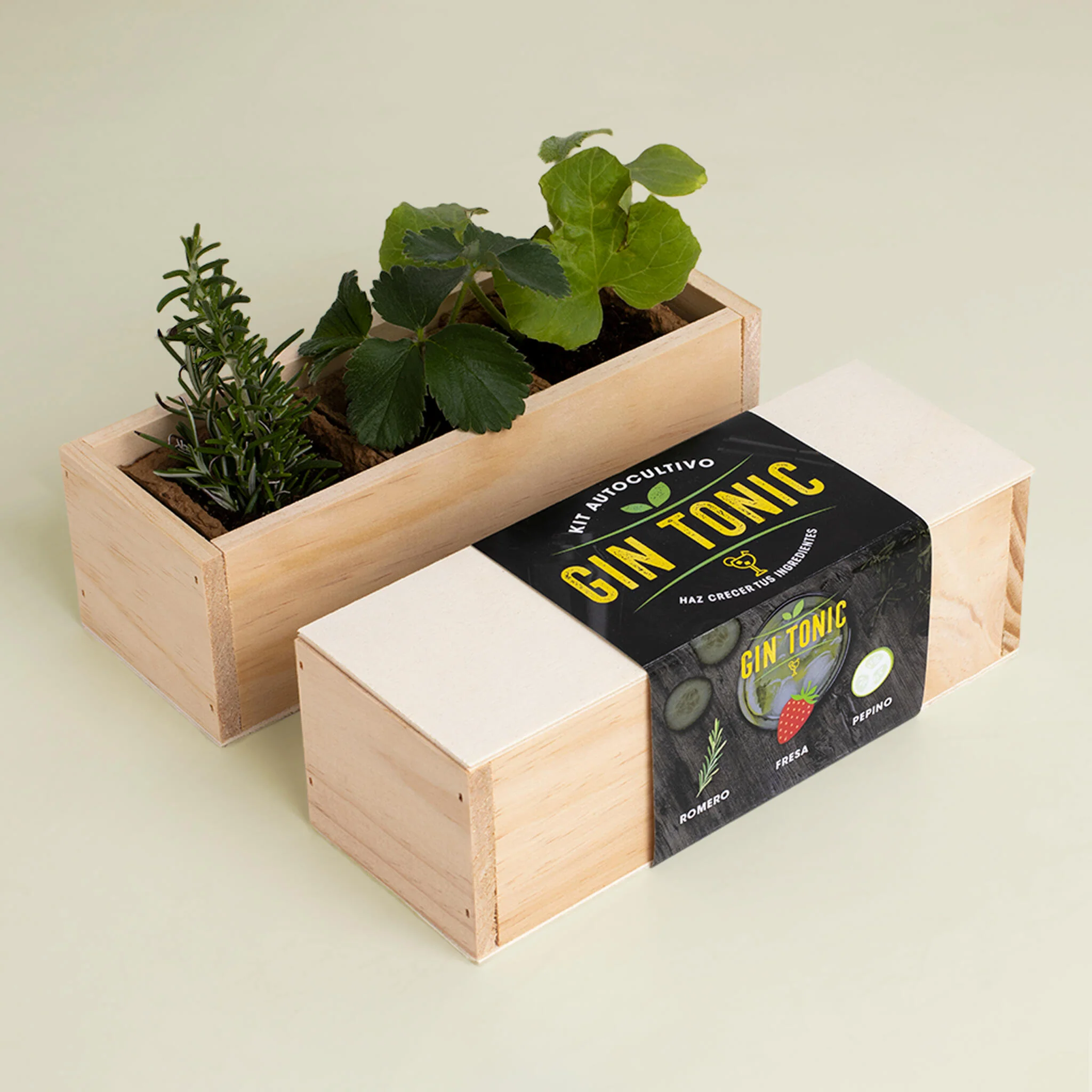 Kit Autocultivo Gin Tonic | Cultiva Romero, Fresa Y Pepino En Casa | Regalo Original Para Amantes De Los Cócteles - Image 2