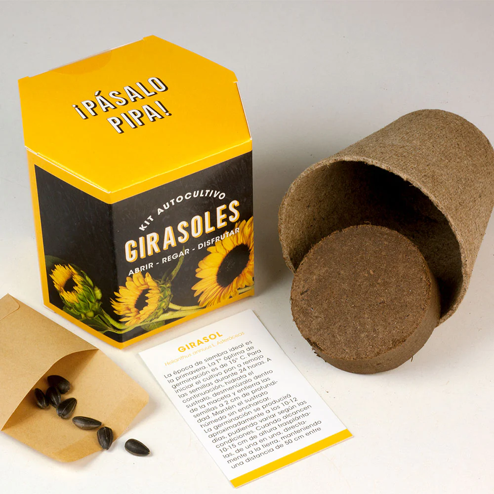 Kit Autocultivo Girasoles | Cultiva Flores Grandes Y Luminosas En Casa - Image 2