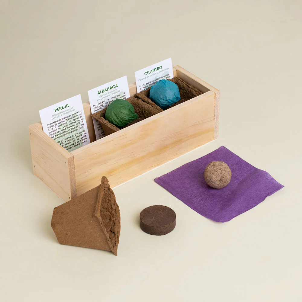 Kit Autocultivo Gourmet | Perejil, Albahaca Y Cilantro En Casa | Hierbas Frescas Para Cocina | Regalo Foodie - Image 2