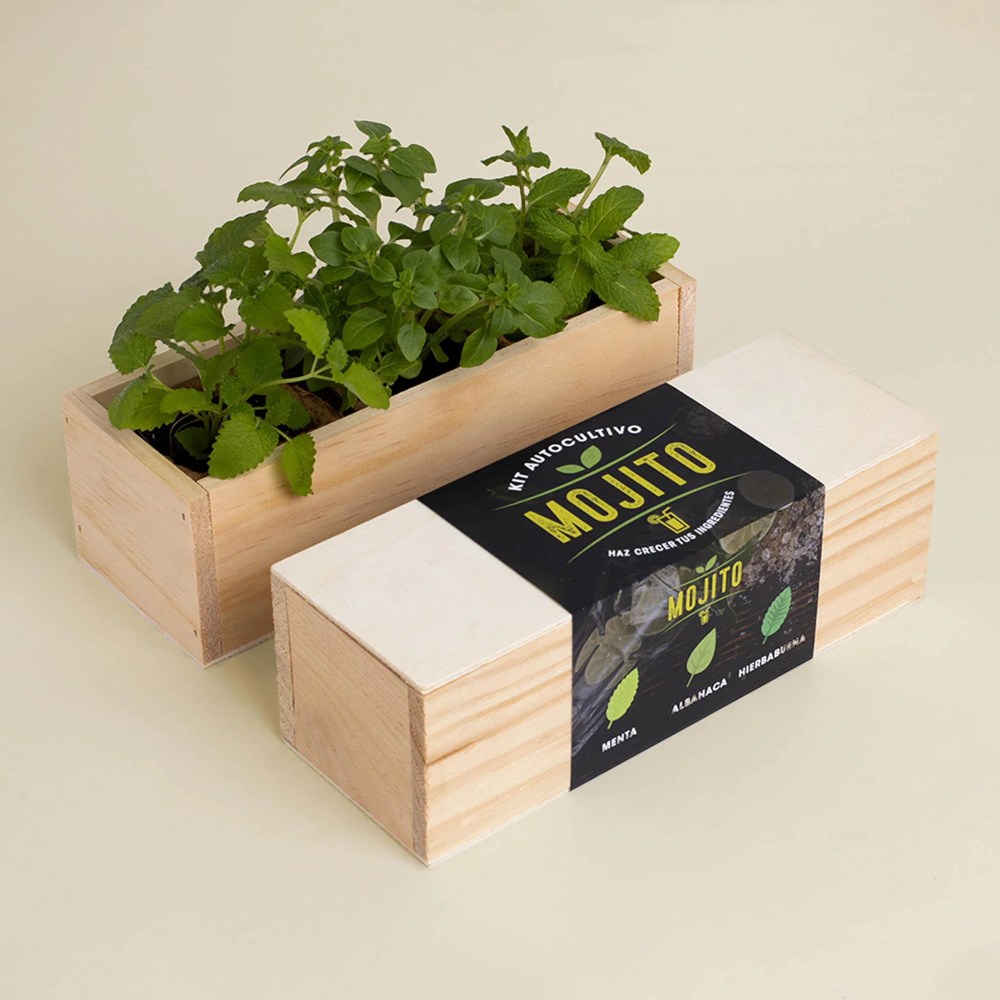 Kit Autocultivo Mojito | Cultiva Menta, Albahaca Y Hierbabuena En Casa | Regalo Original Para Cócteles - Image 2
