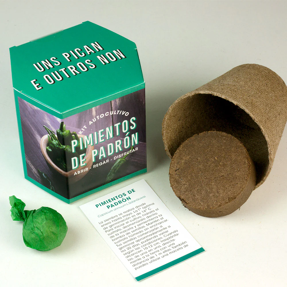 Kit Autocultivo Pimientos De Padrón | Cultiva En Casa Uno De Los Sabores Más Auténticos - Image 2