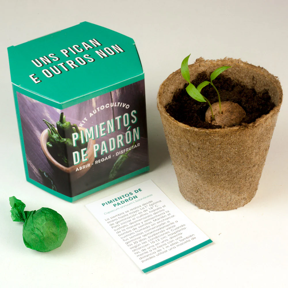 Kit Autocultivo Pimientos De Padrón | Cultiva En Casa Uno De Los Sabores Más Auténticos - Image 3