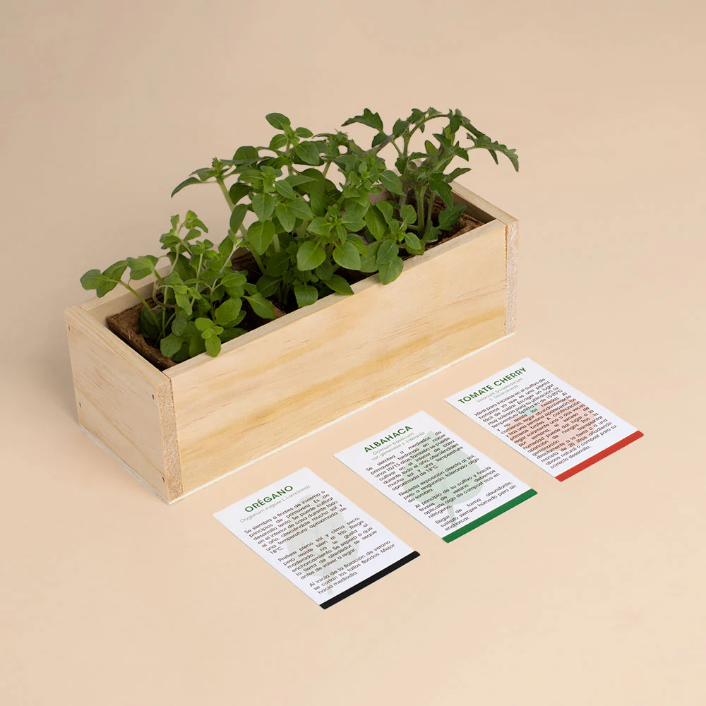 Kit Autocultivo Pizza | Cultiva Orégano, Albahaca Y Tomate Cherry En Casa | Regalo Original Para Amantes De La Cocina - Image 3