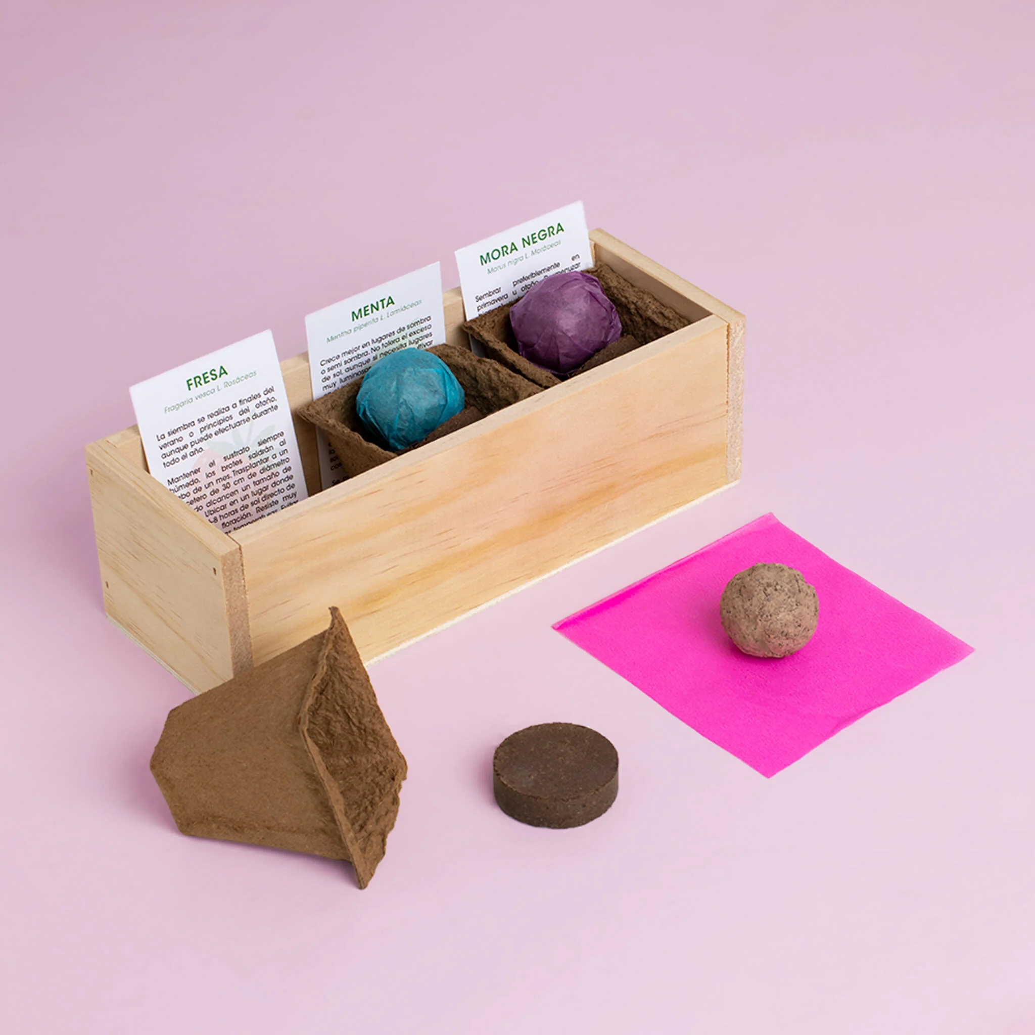 Kit Autocultivo Postres | Cultiva Fresa, Menta Y Mora En Casa | Ideal Para Repostería Y Smoothies | Regalo Dulce - Image 3