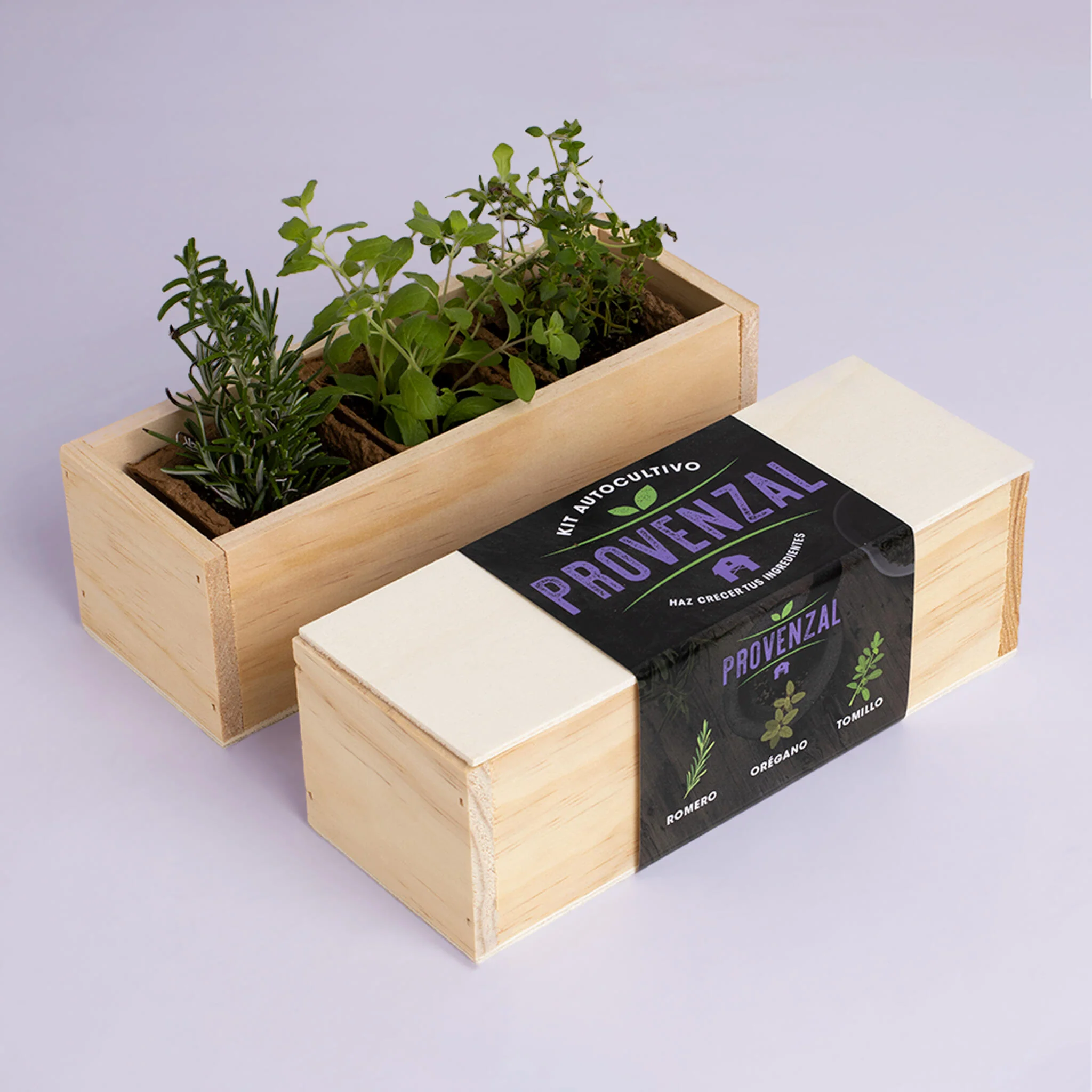 Kit Autocultivo Provenzal | Cultiva Romero, Orégano Y Tomillo En Casa | Aromáticas Mediterráneas - Image 2