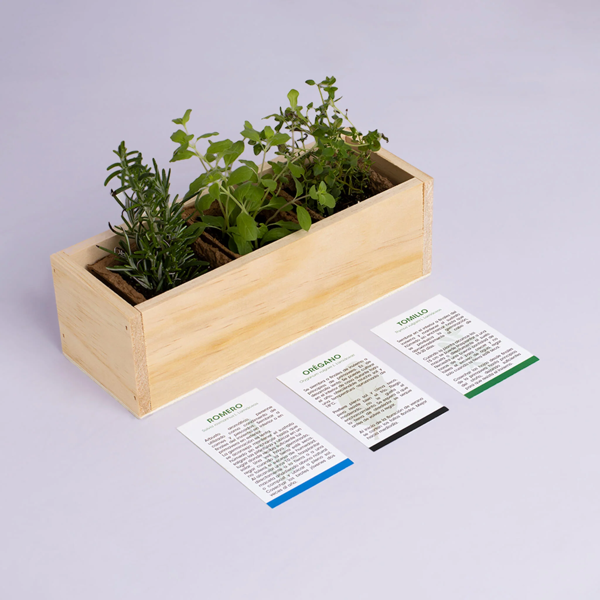 Kit Autocultivo Provenzal | Cultiva Romero, Orégano Y Tomillo En Casa | Aromáticas Mediterráneas - Image 4