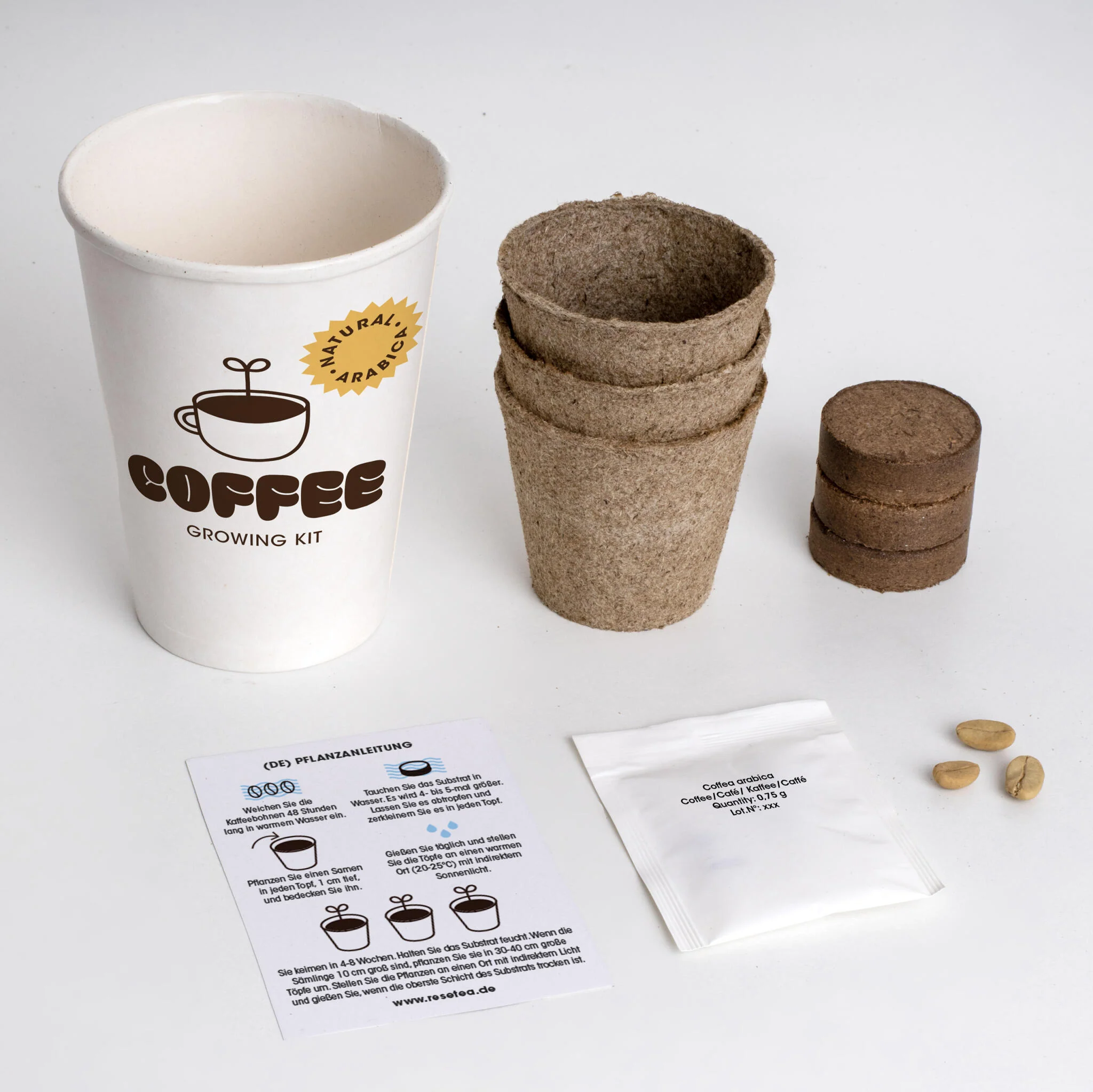Kit Cultivo De Café | Cultiva Tu Propio Cafeto En Casa | Regalo Original Para Amantes Del Café - Image 2