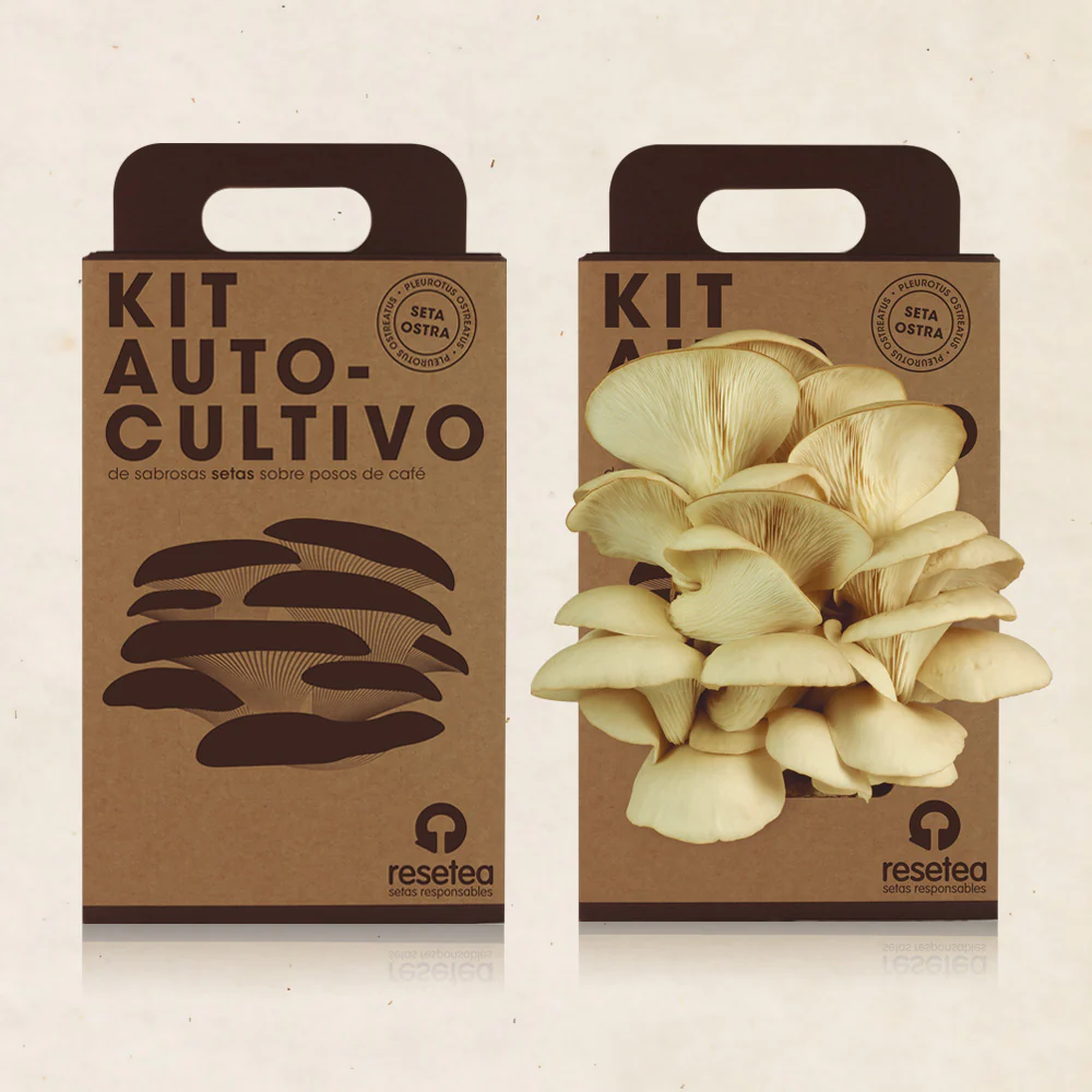 Kit Cultivo De Setas Ostra | Ingrediente Gourmet | Cultivo Fácil | Regalo Original | Resetea - Image 3