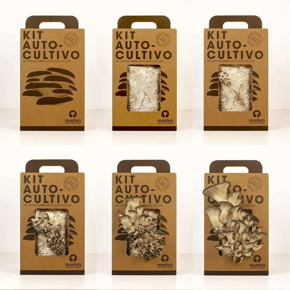 Kit Cultivo De Setas Ostra | Ingrediente Gourmet | Cultivo Fácil | Regalo Original | Resetea - Image 5