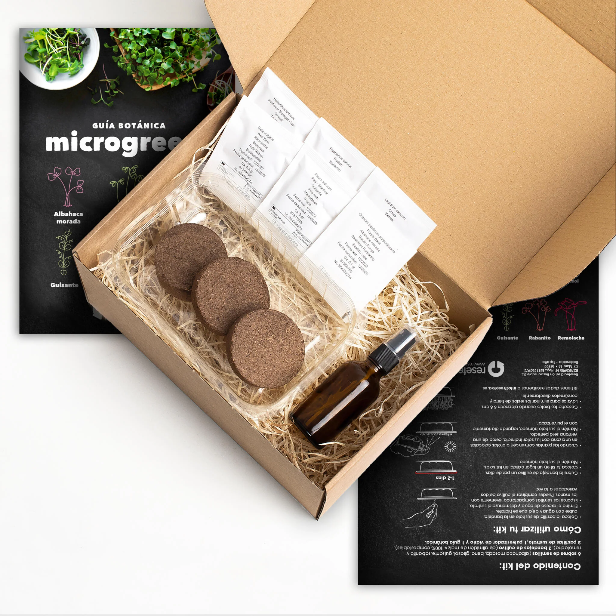 Kit Cultivo Microgreens | Albahaca Morada, Berro, Girasol, Guisante, Rabanito Y Remolacha En Casa - Image 2