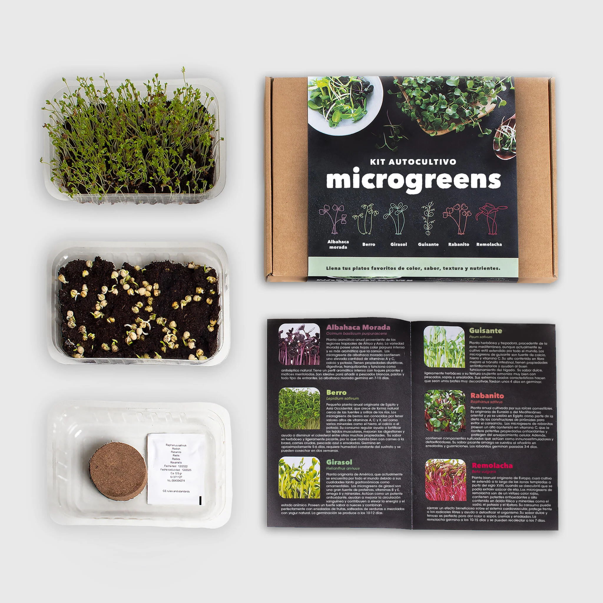 Kit Cultivo Microgreens | Albahaca Morada, Berro, Girasol, Guisante, Rabanito Y Remolacha En Casa - Image 3