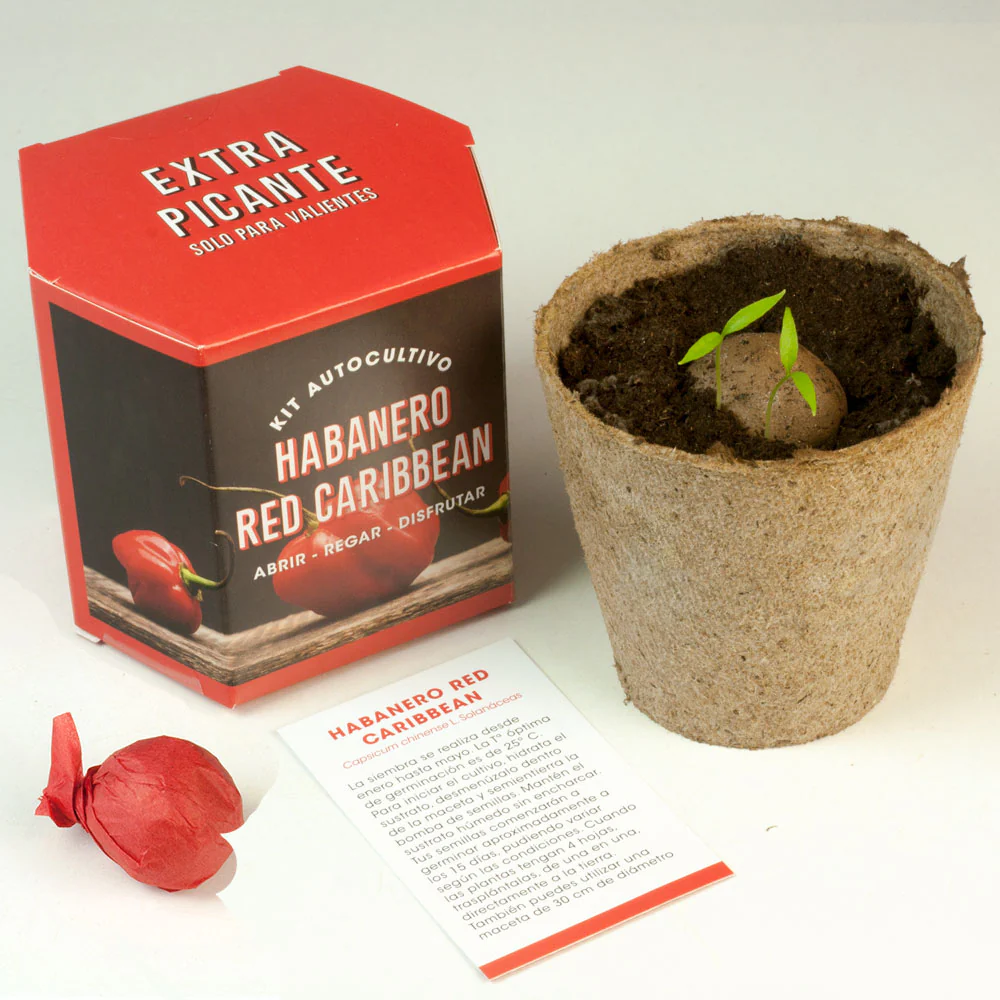 Kit De Autocultivo Habanero Red Caribbean | Pimiento Extra Picante (450.000 Shu) - Image 3