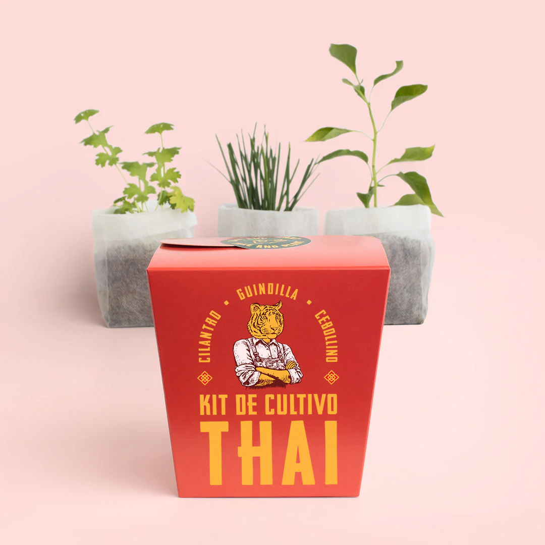 Kit Thai | Cultiva Cilantro, Guindilla Y Cebollino En Casa | Regalo Original Para Amantes De La Cocina Asiática - Image 3