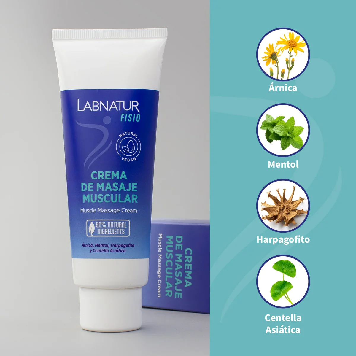Labnatur Fisio Crema de Masaje Muscular 125 ml | Preparación y Recuperación de Músculos y Ligamentos | NATURAL - Image 2
