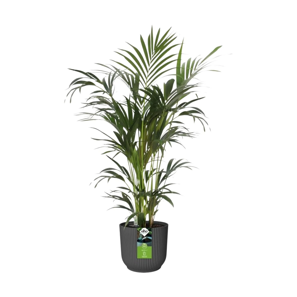 Maceta Antracita All-in-1 Vibes Round Elho 18cm + Swi 17 100% reciclado - Image 2