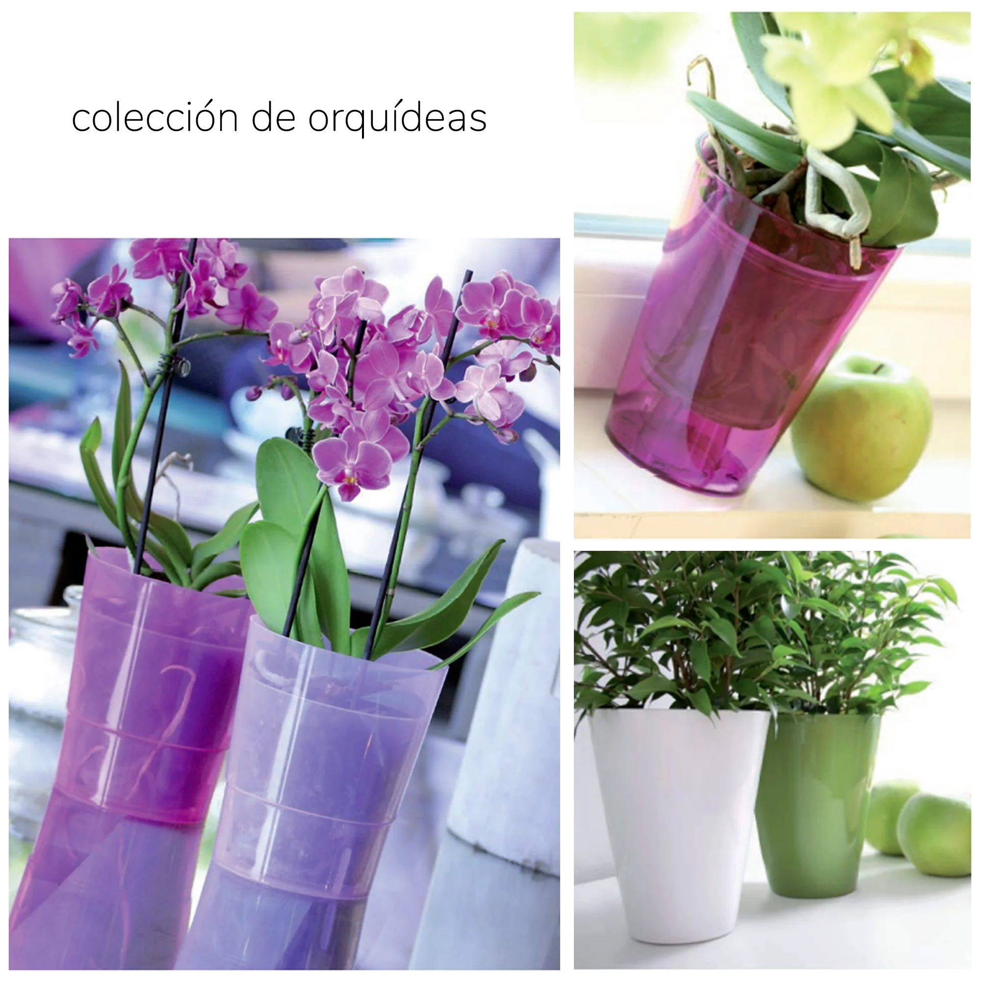 Maceta Coubi Orchid 1,1l., Dimensiones (mm) 125x125x147, Color Transparente - Image 2