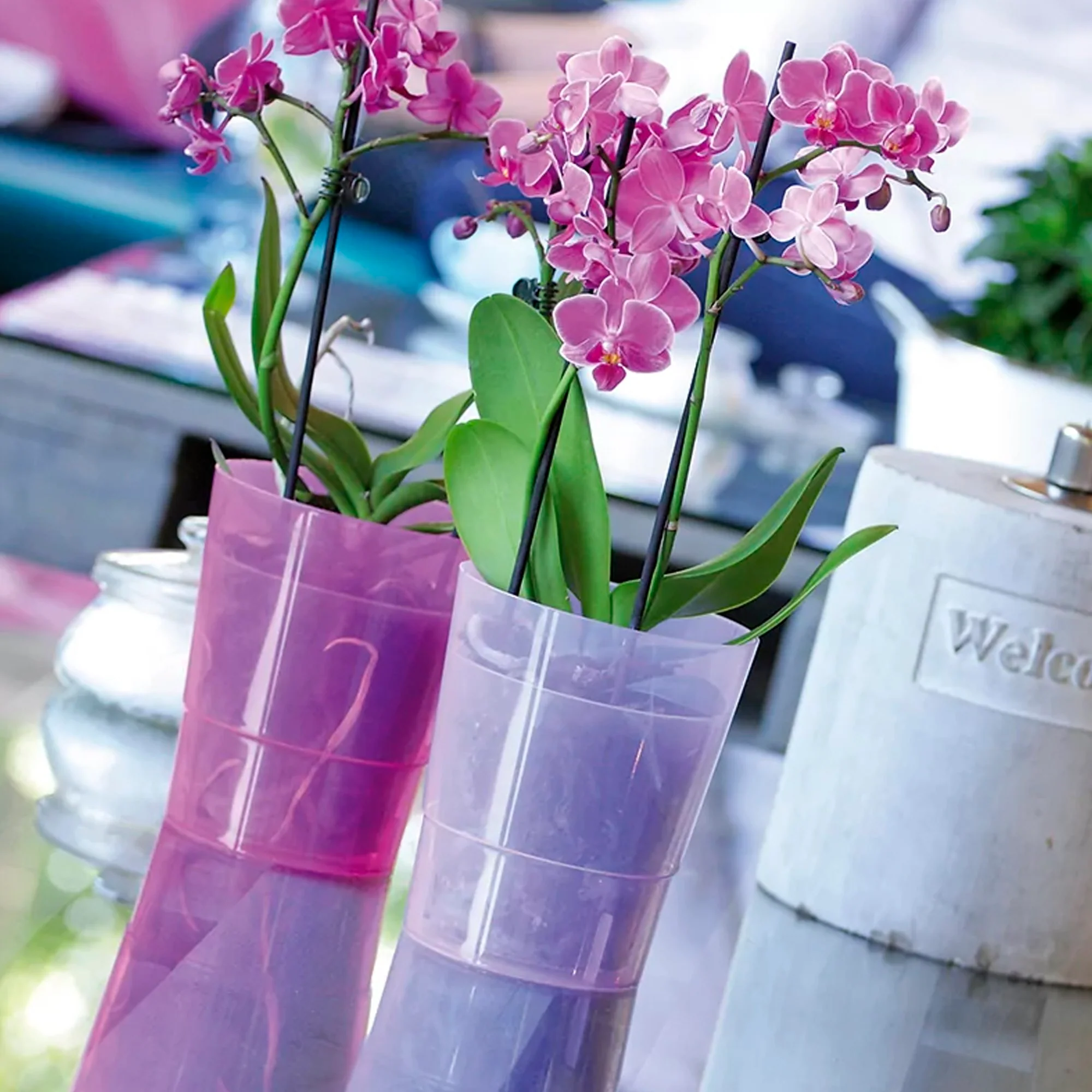 Maceta Coubi Orchid 1,1l., Dimensiones (mm) 125x125x147, Color Transparente - Image 5