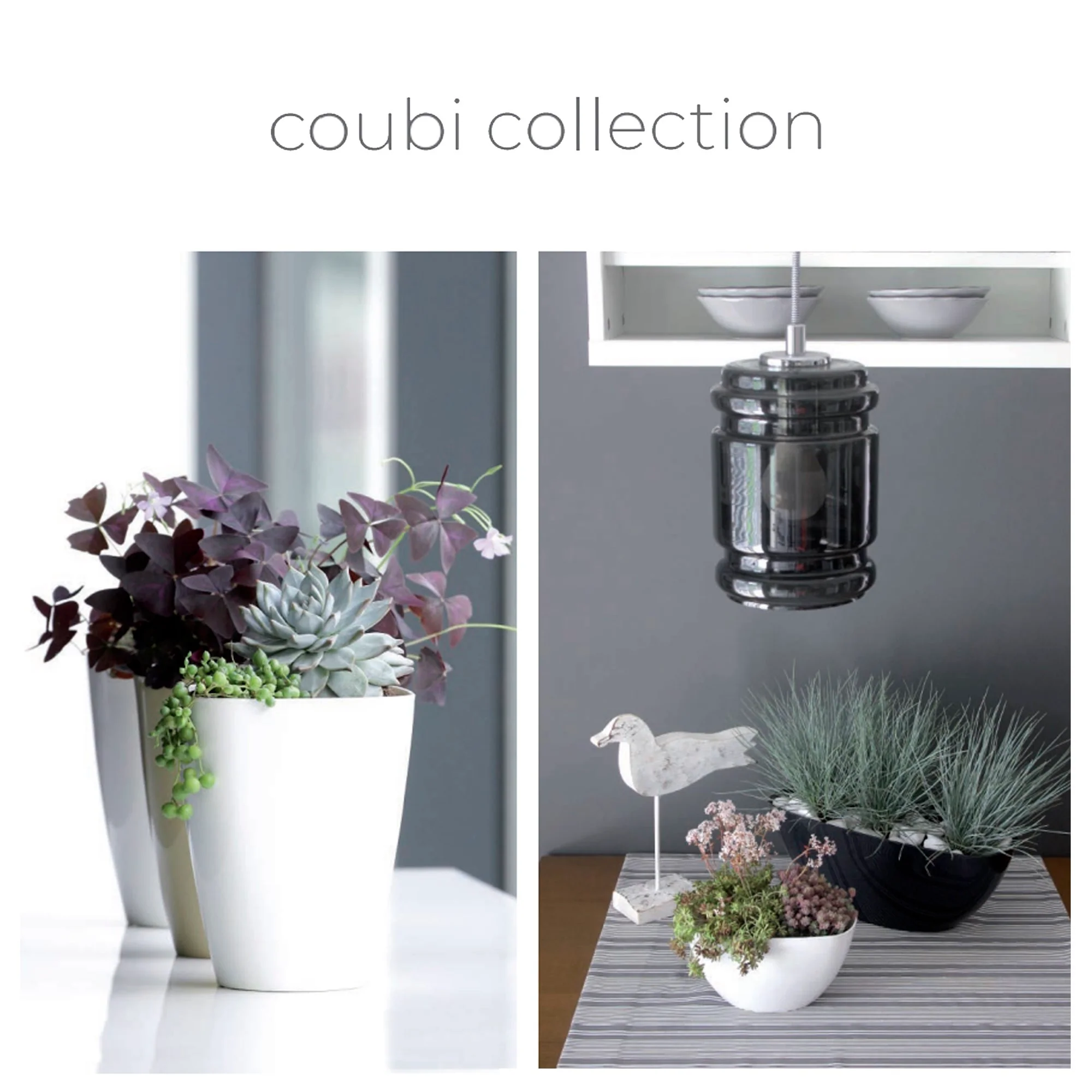 Maceta Coubi Orchid 1,6l., Dimensiones (mm) 132x132x165, Color Antracita - Image 2
