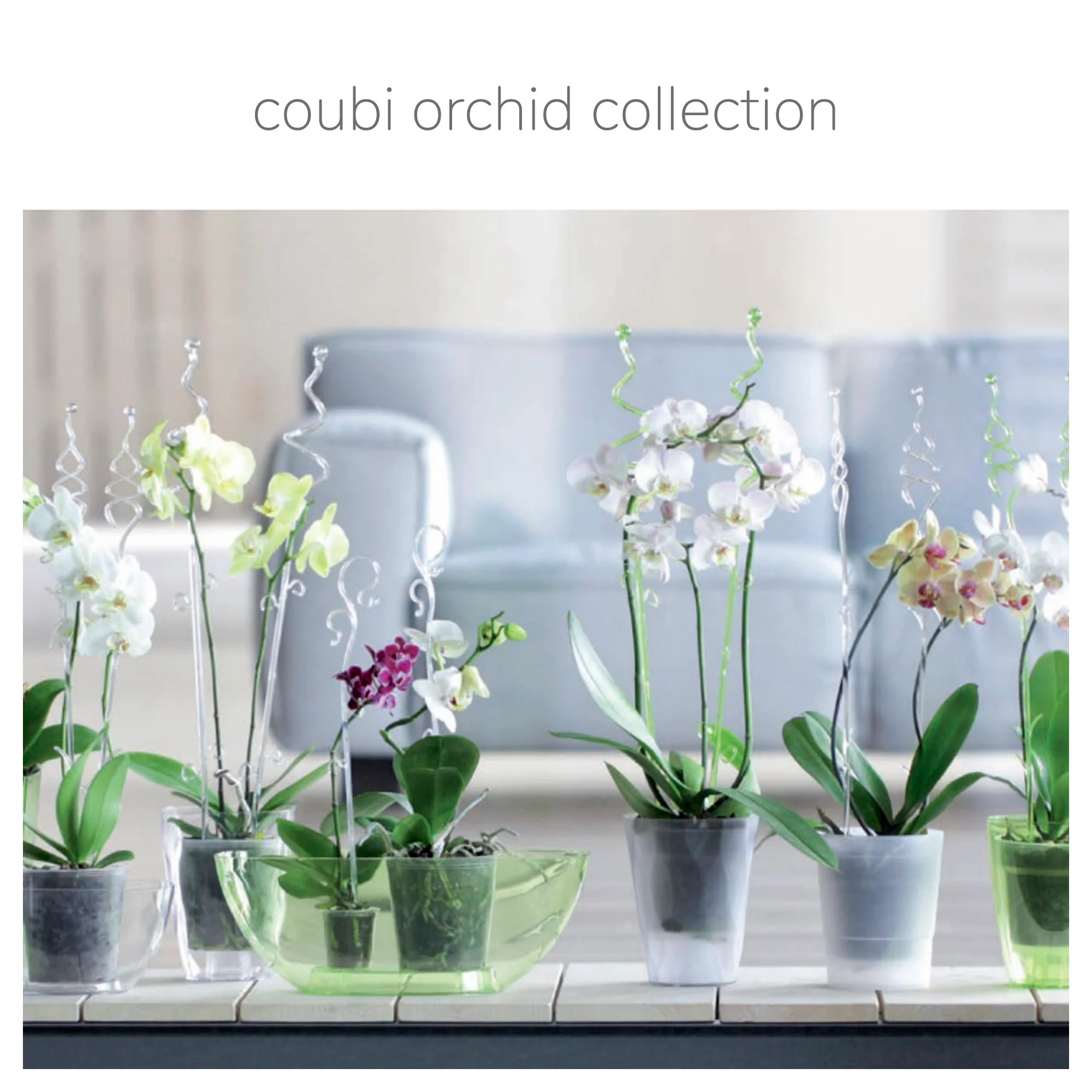 Maceta Coubi Orchid 1l., Dimensiones (mm) 198x130x102, Color Transparente - Image 2
