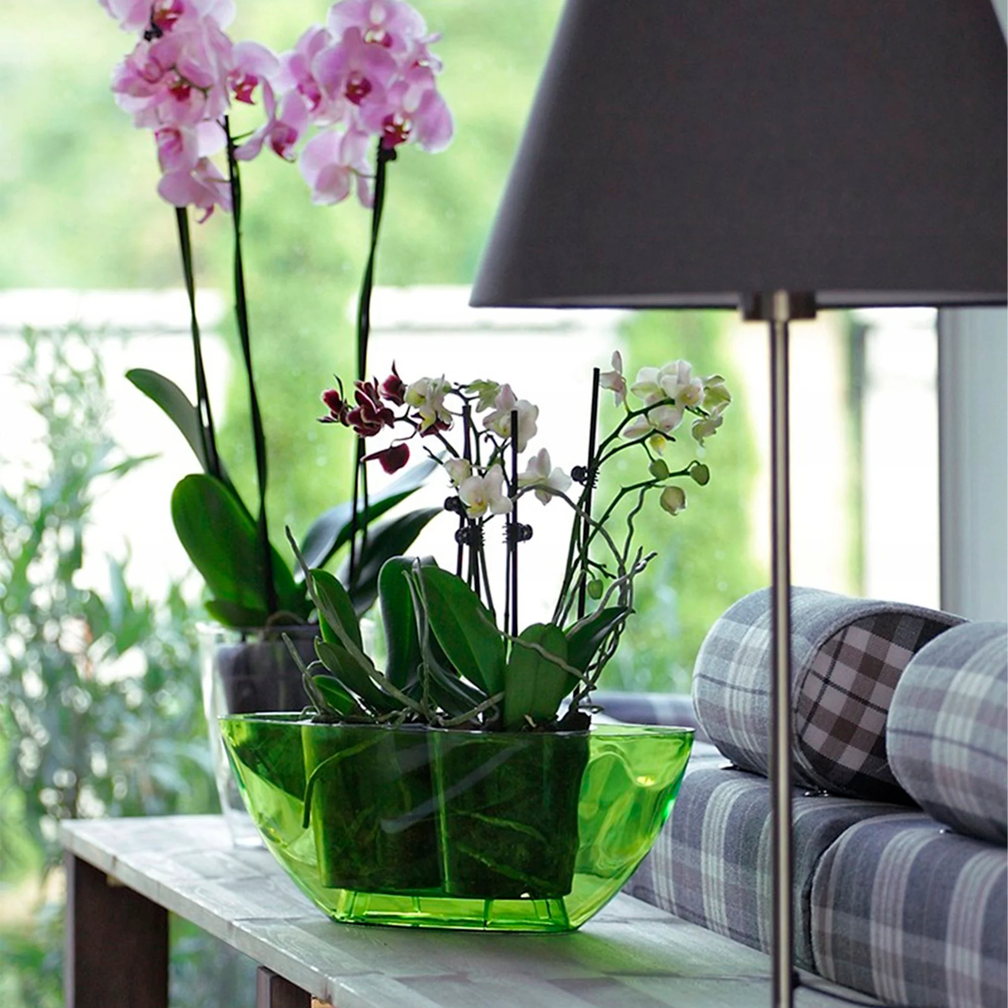 Maceta Coubi Orchid 1l., Dimensiones (mm) 198x130x102, Color Transparente - Image 6