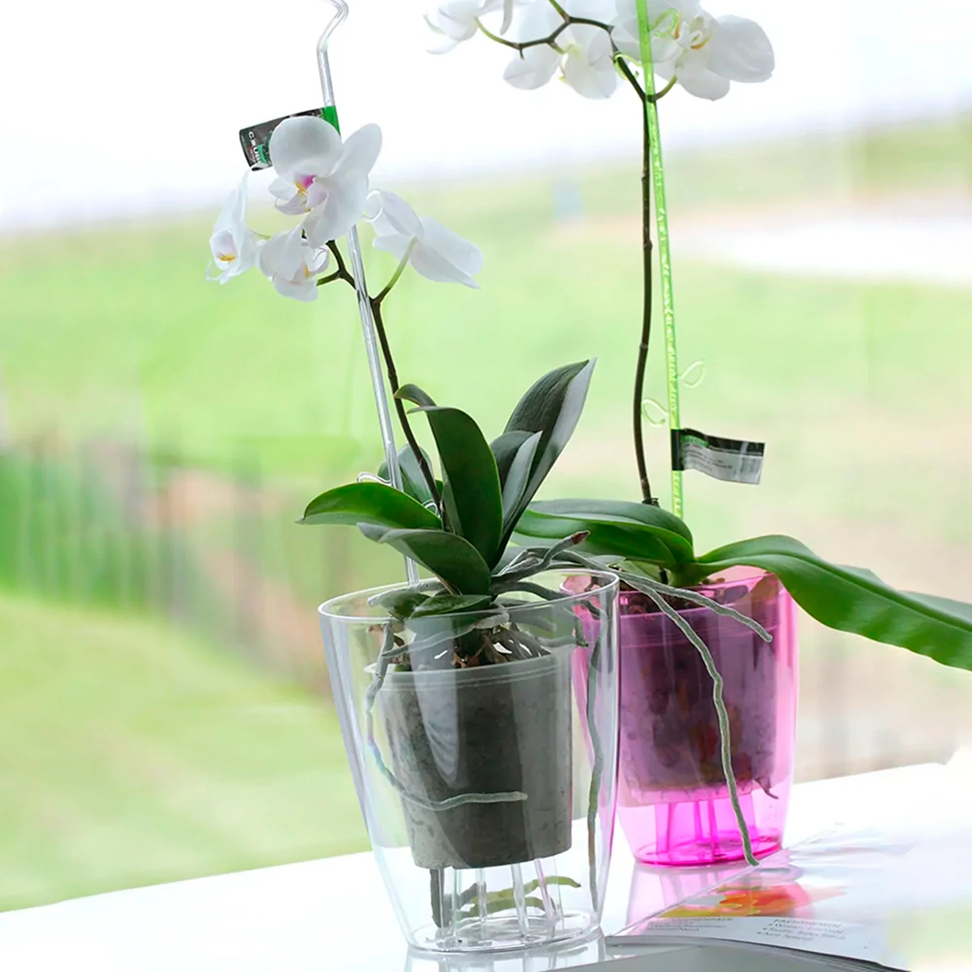 Maceta Coubi Orchid 2,4l., Dimensiones (mm) 160x160x183 - Image 4